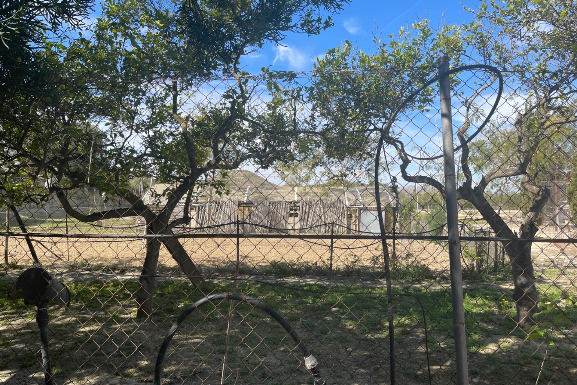 Reventa - Finca -
Rojales - Rojales - Country