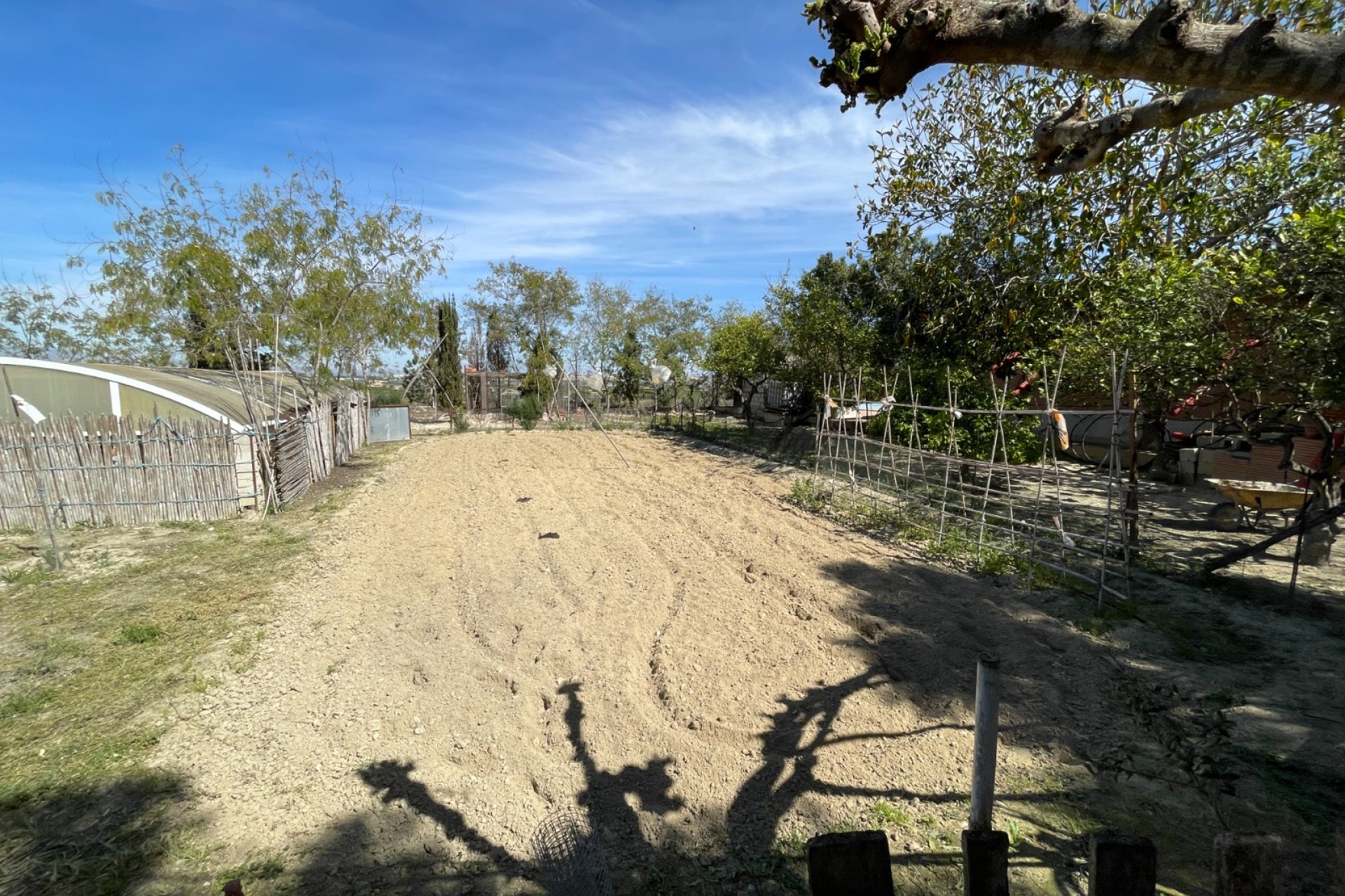 Reventa - Finca -
Rojales - Rojales - Country