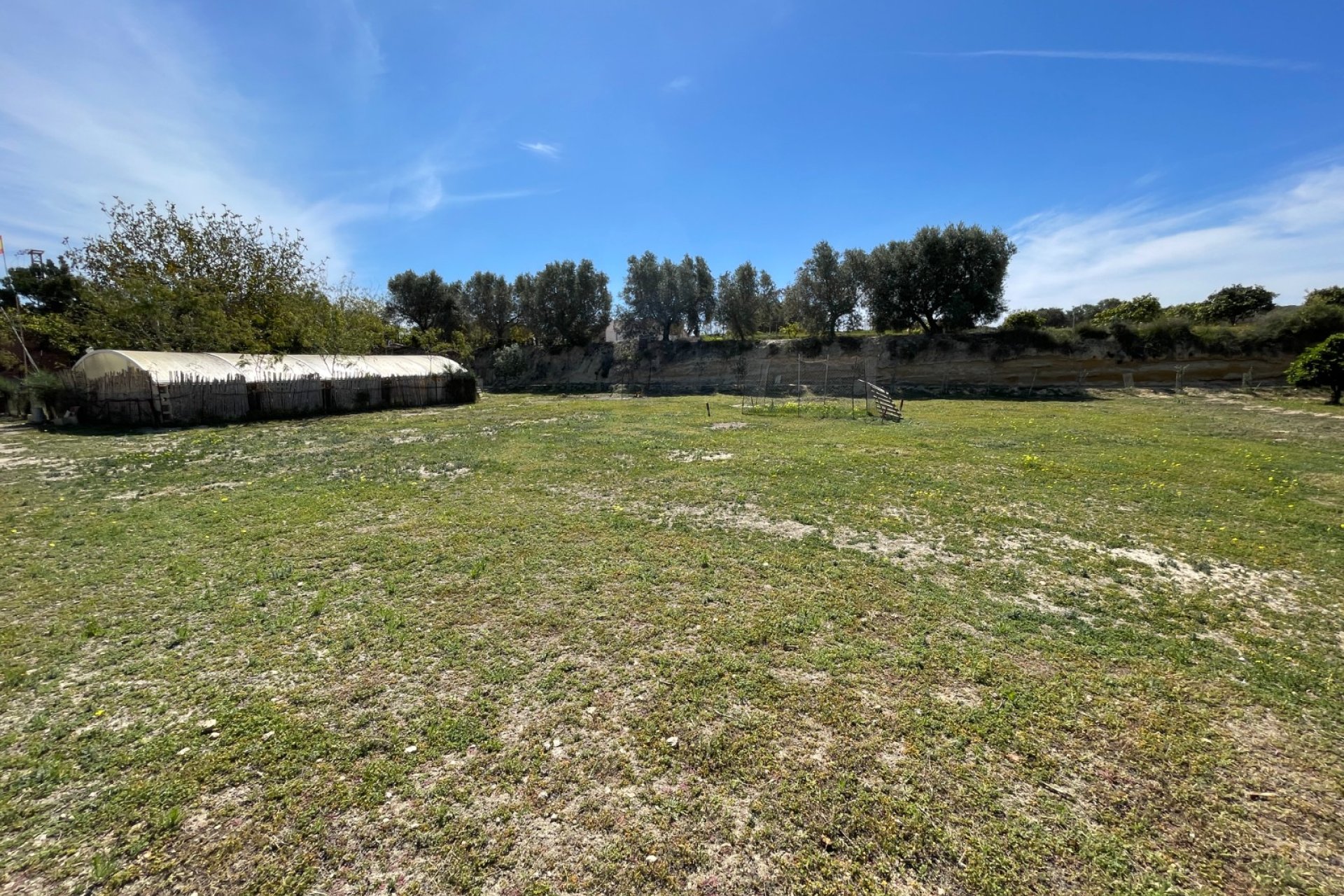 Reventa - Finca -
Rojales - Rojales - Country