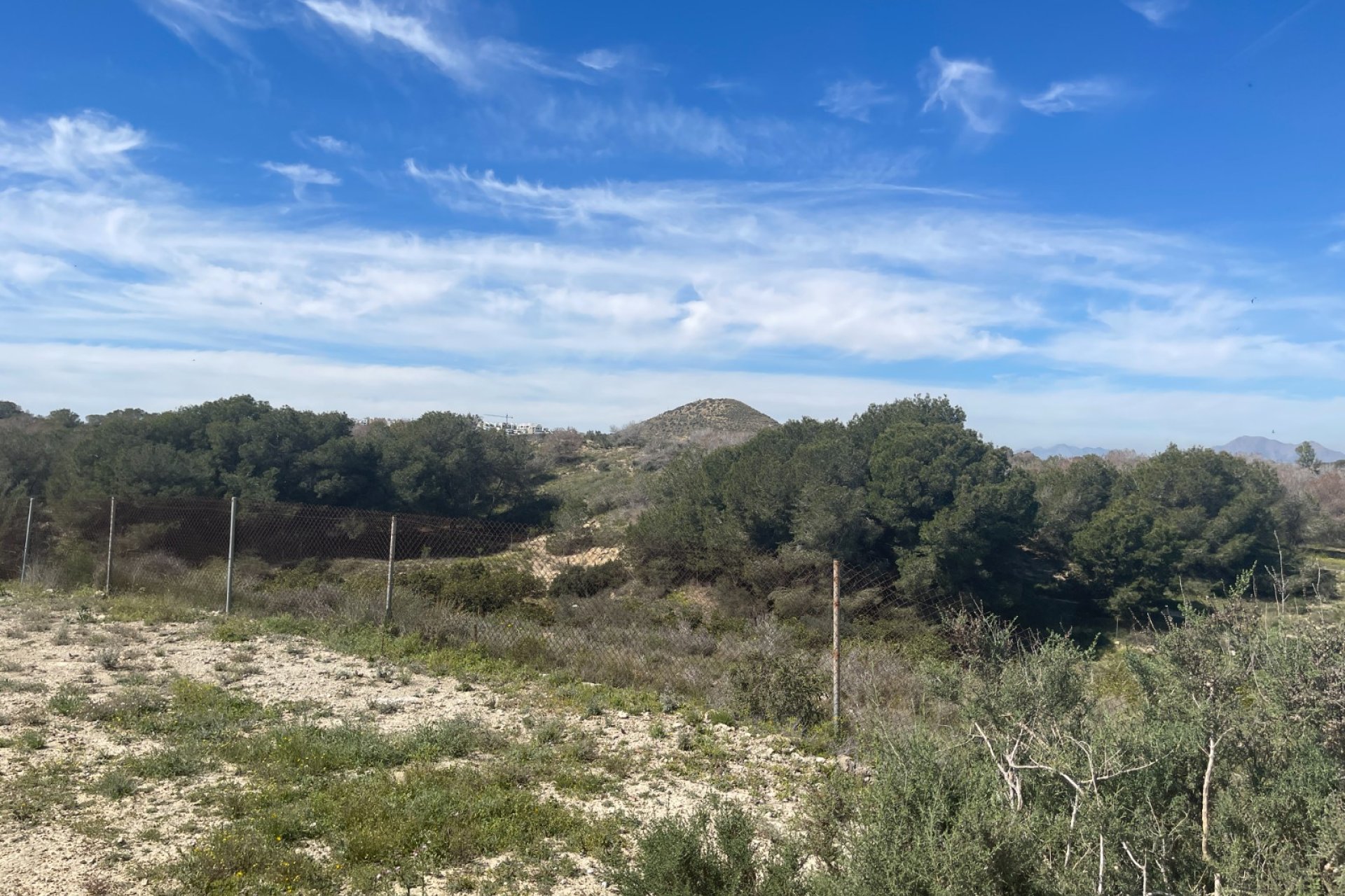 Reventa - Finca -
Rojales - Rojales - Country
