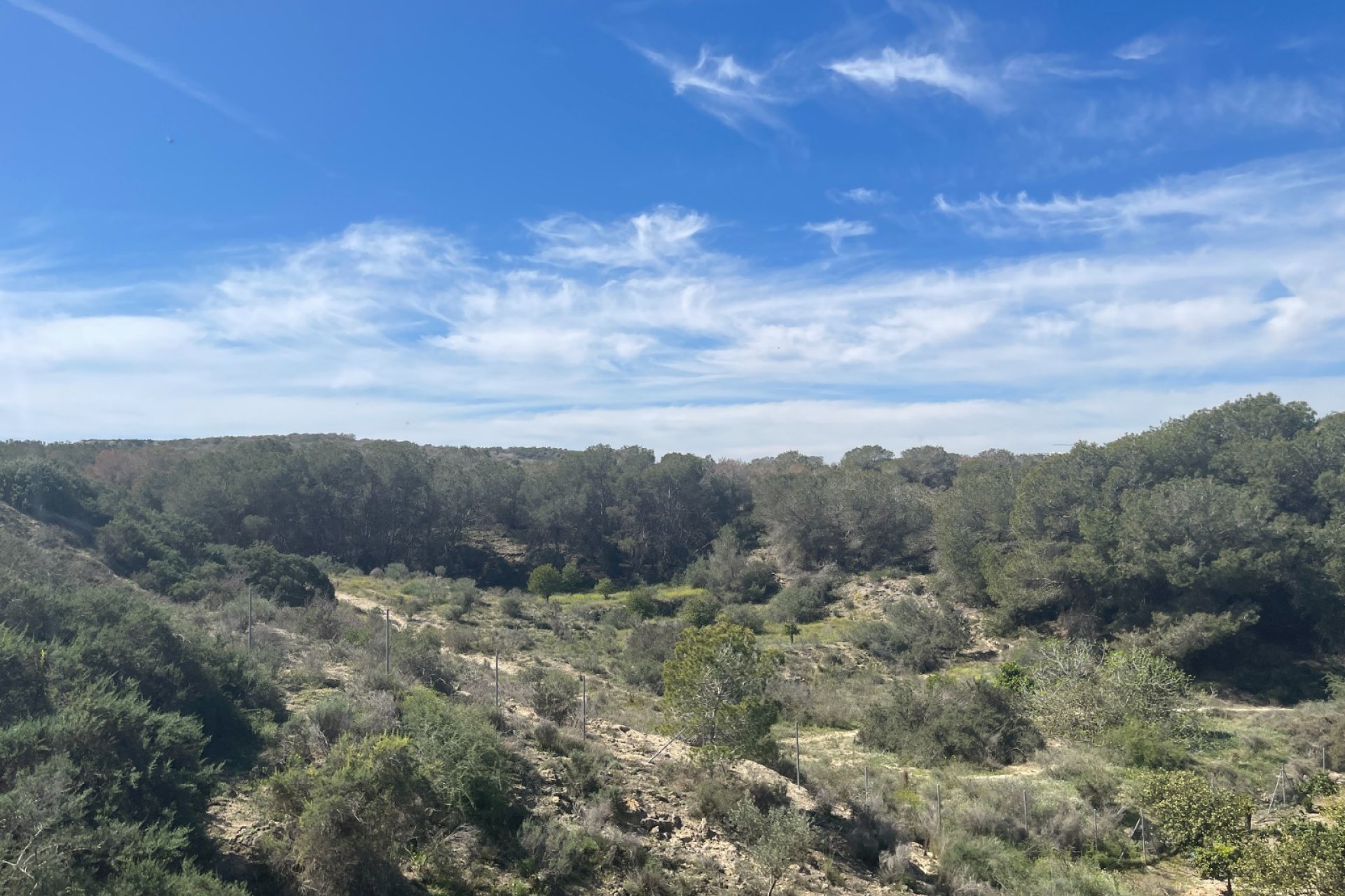 Reventa - Finca -
Rojales - Rojales - Country