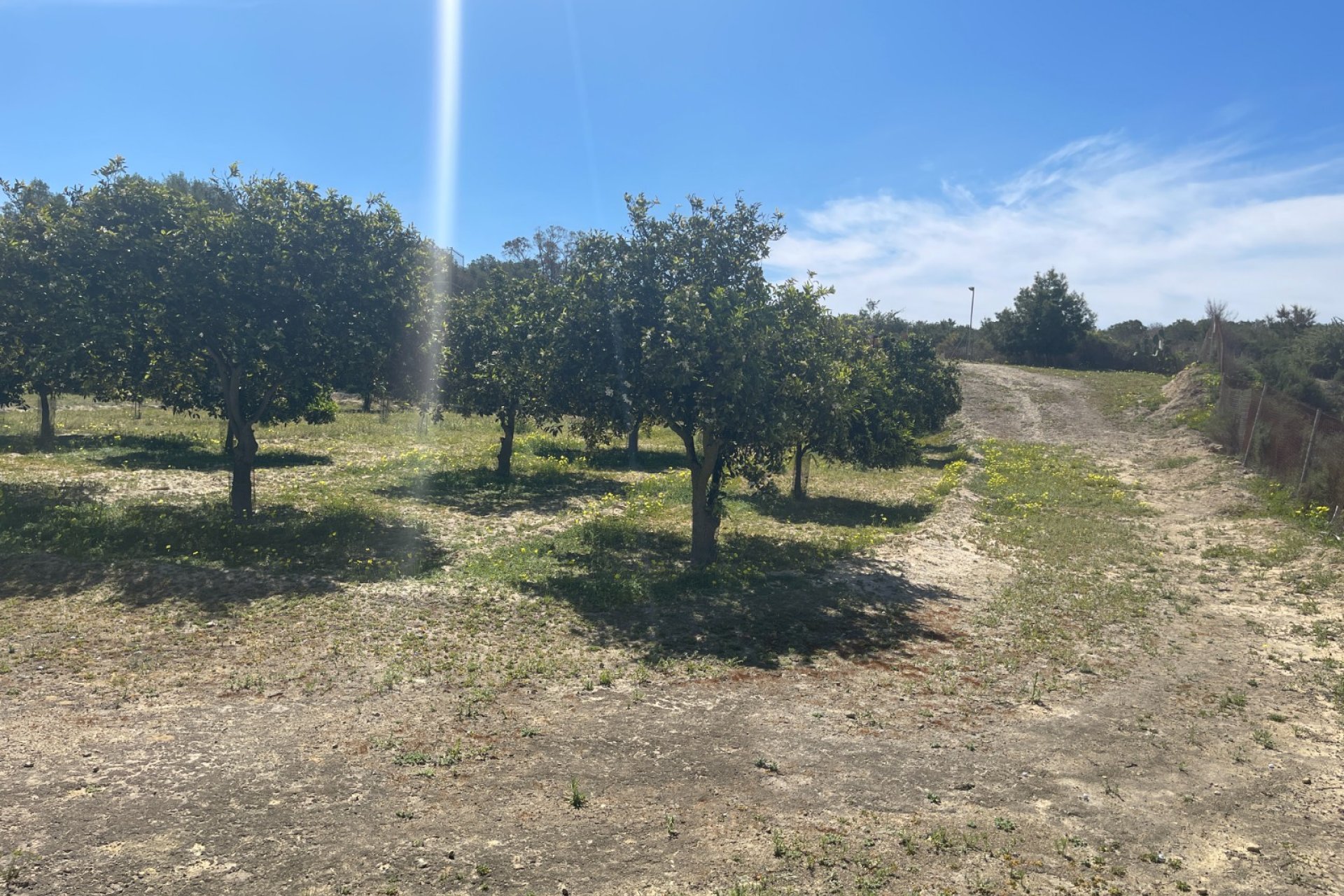 Reventa - Finca -
Rojales - Rojales - Country