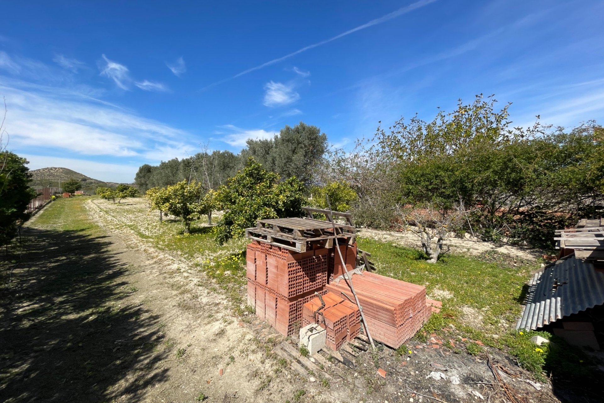 Reventa - Finca -
Rojales - Rojales - Country