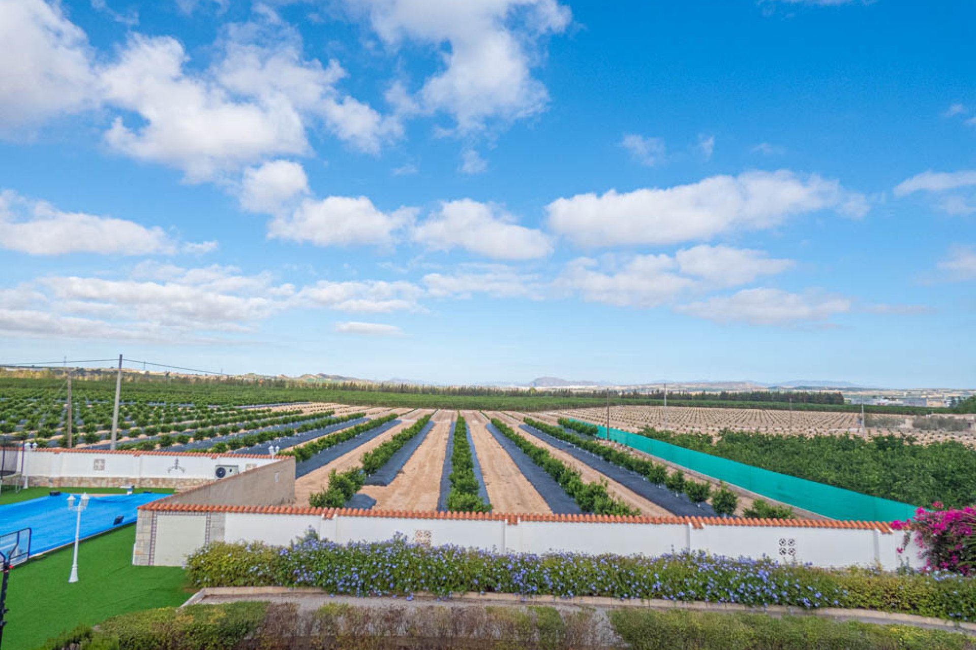 Reventa - Finca -
San Miguel de Salinas - San Miguel - Country