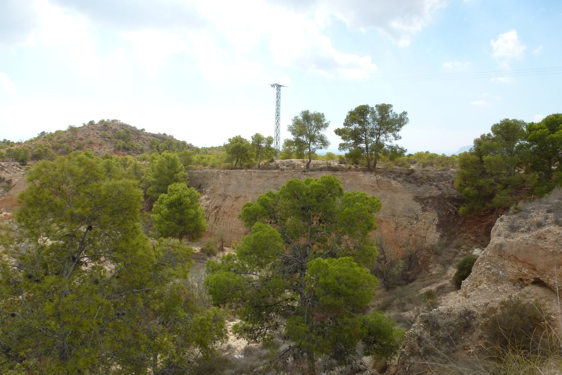 Reventa - Parcela / Terreno -
Crevillente - Crevillente - Country