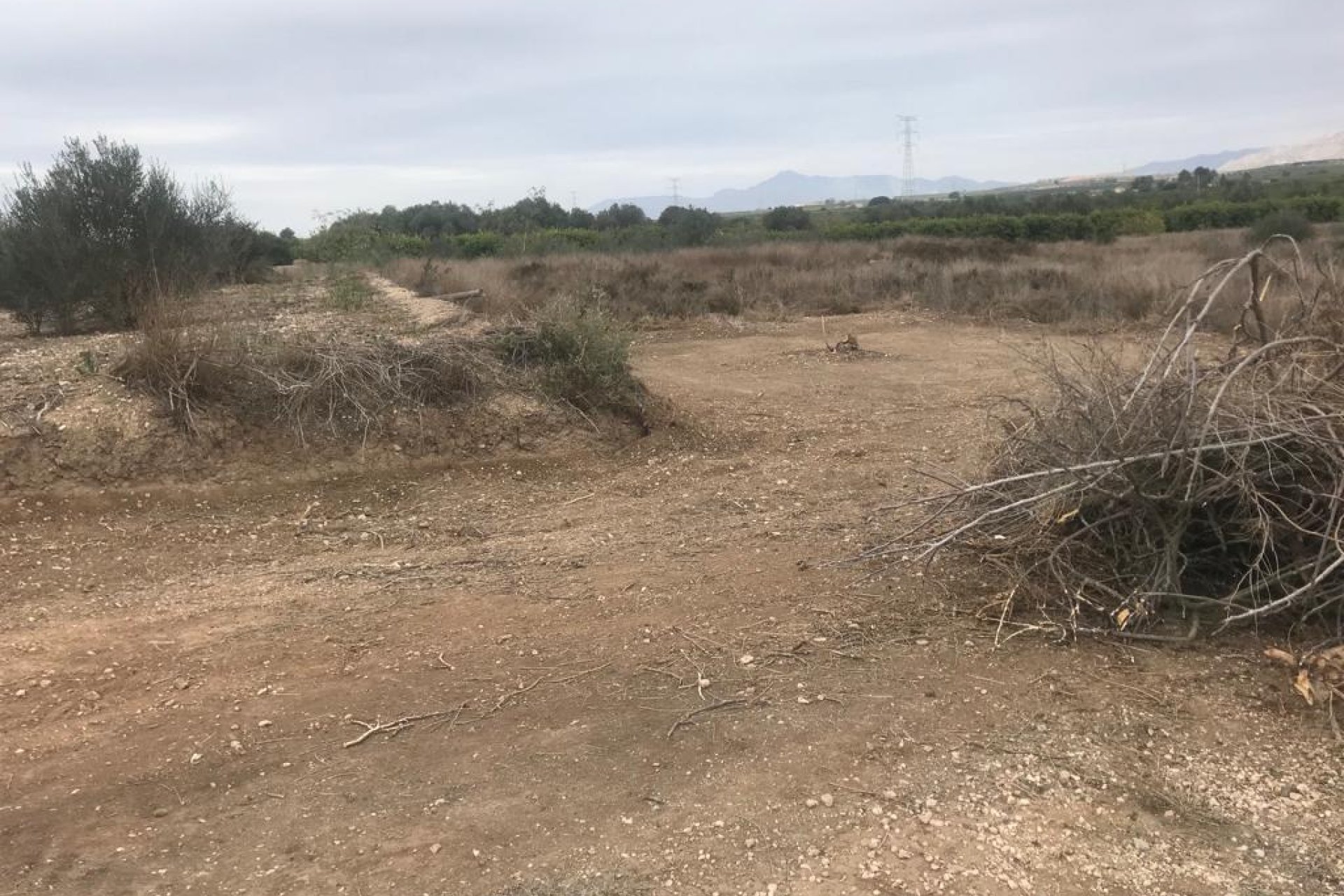 Reventa - Terreno -
Benferri - HUERTA PUEBLO