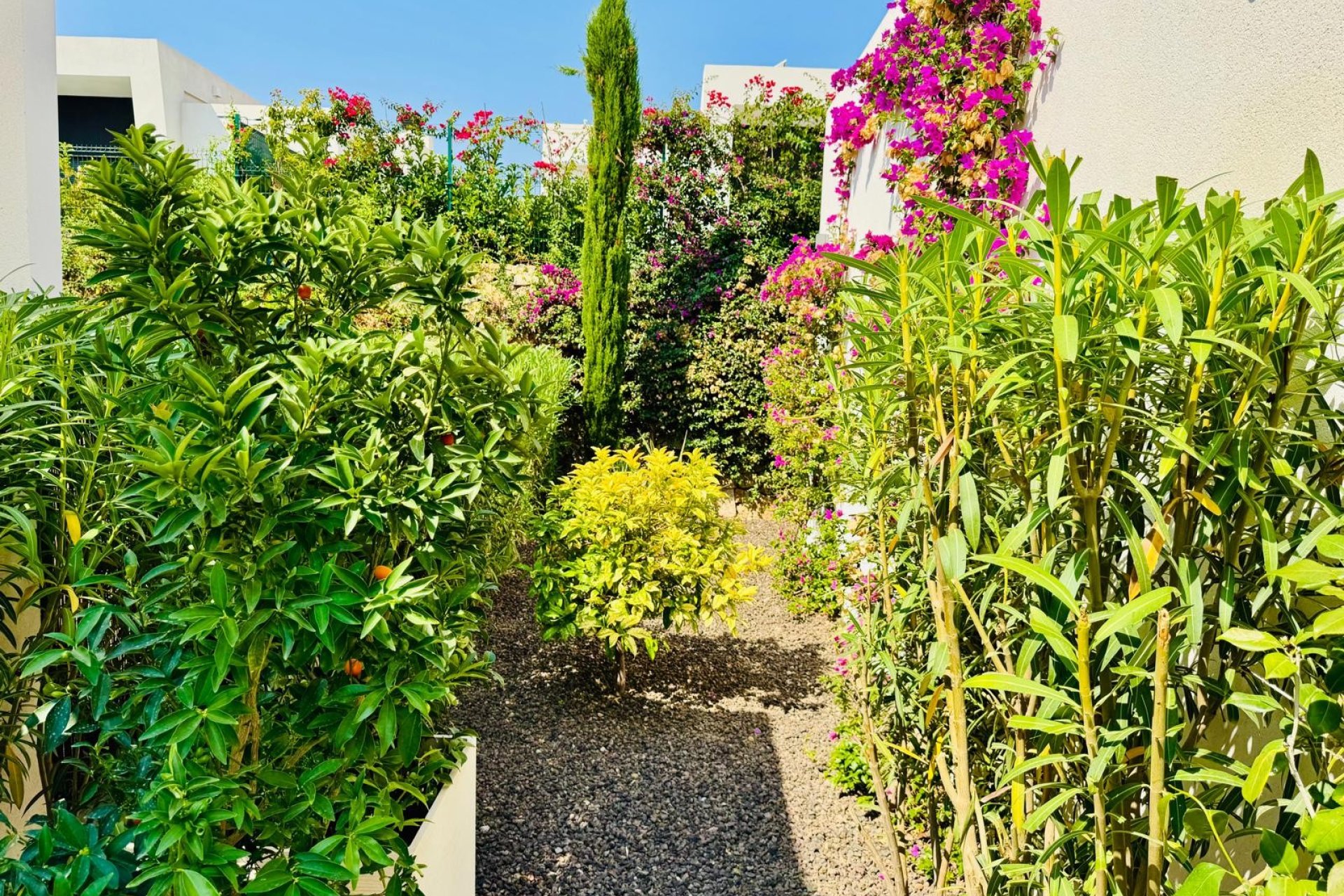 Reventa - Villa -
Algorfa - La finca Golf