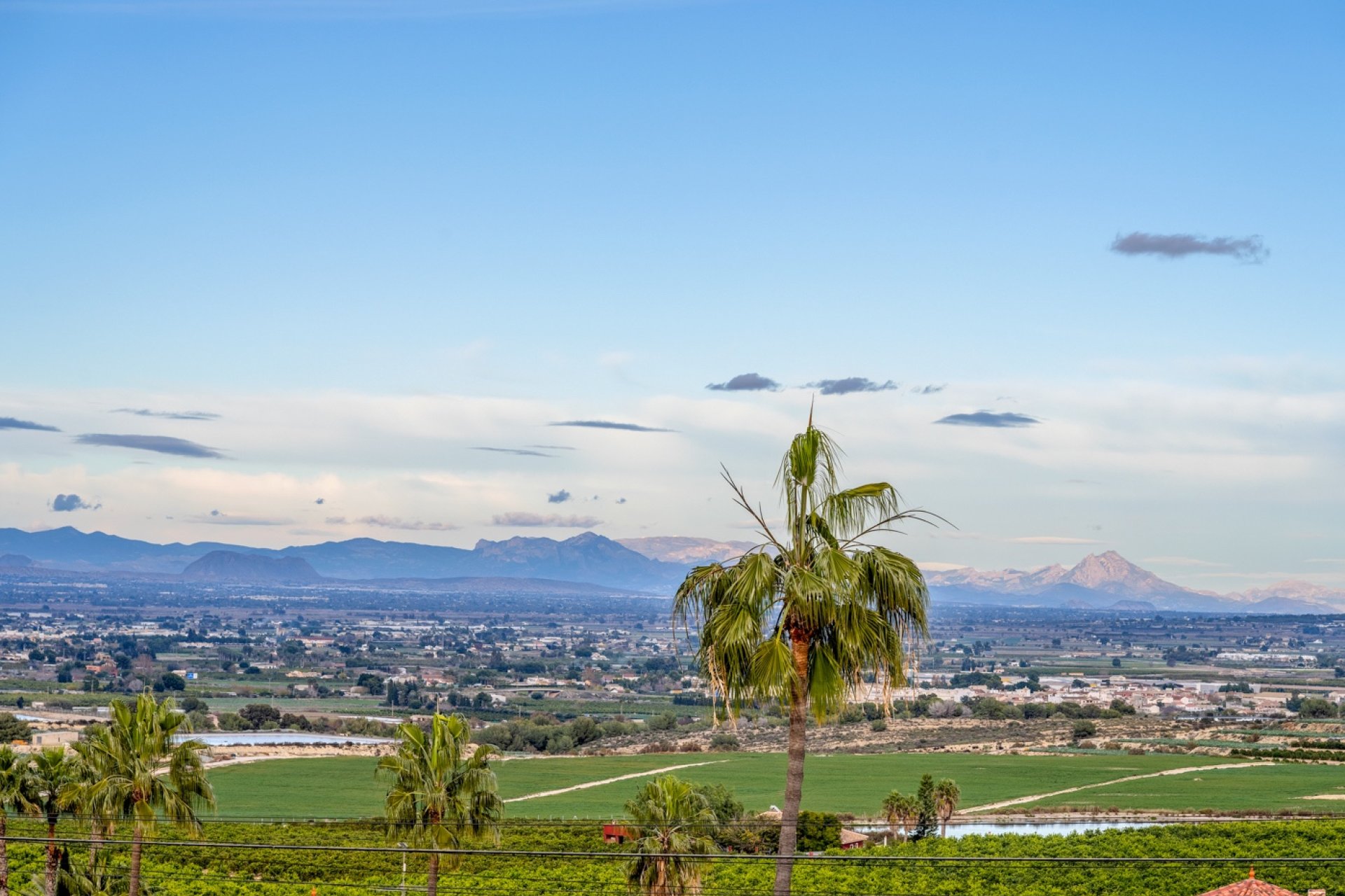 Reventa - Villa -
Algorfa - Lomas de La Juliana