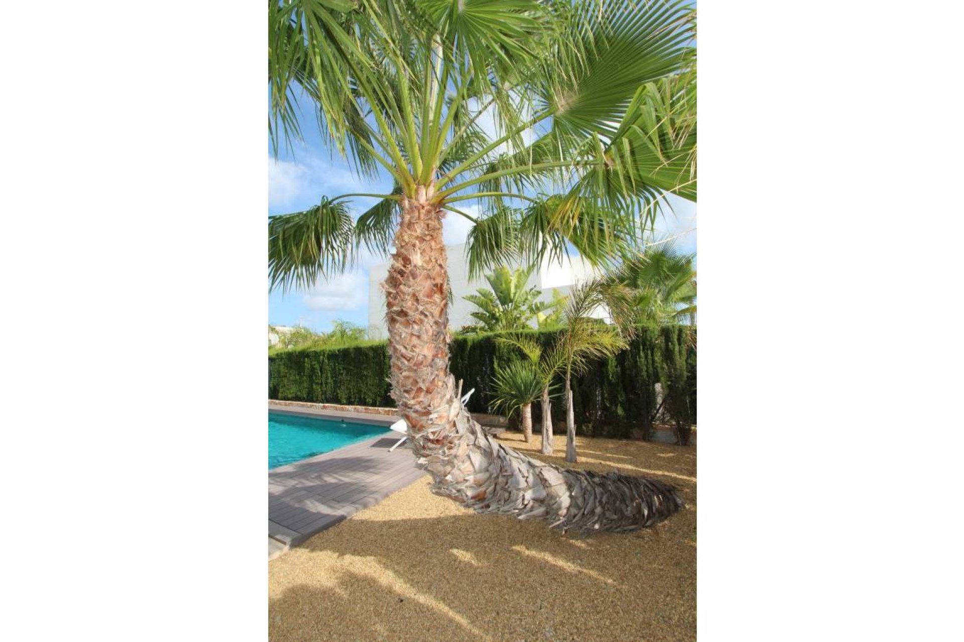 Reventa - Villa -
Ciudad Quesada - Ciudad Quesada - Town