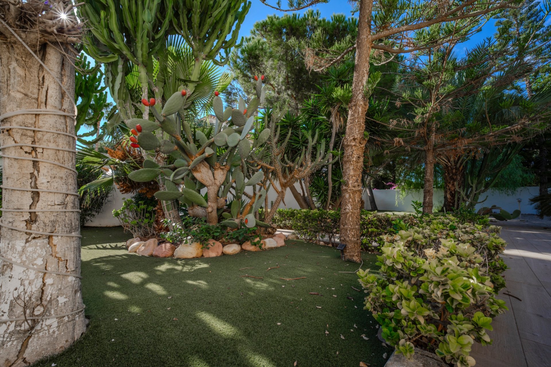 Reventa - Villa -
Ciudad Quesada - Doña Pepa