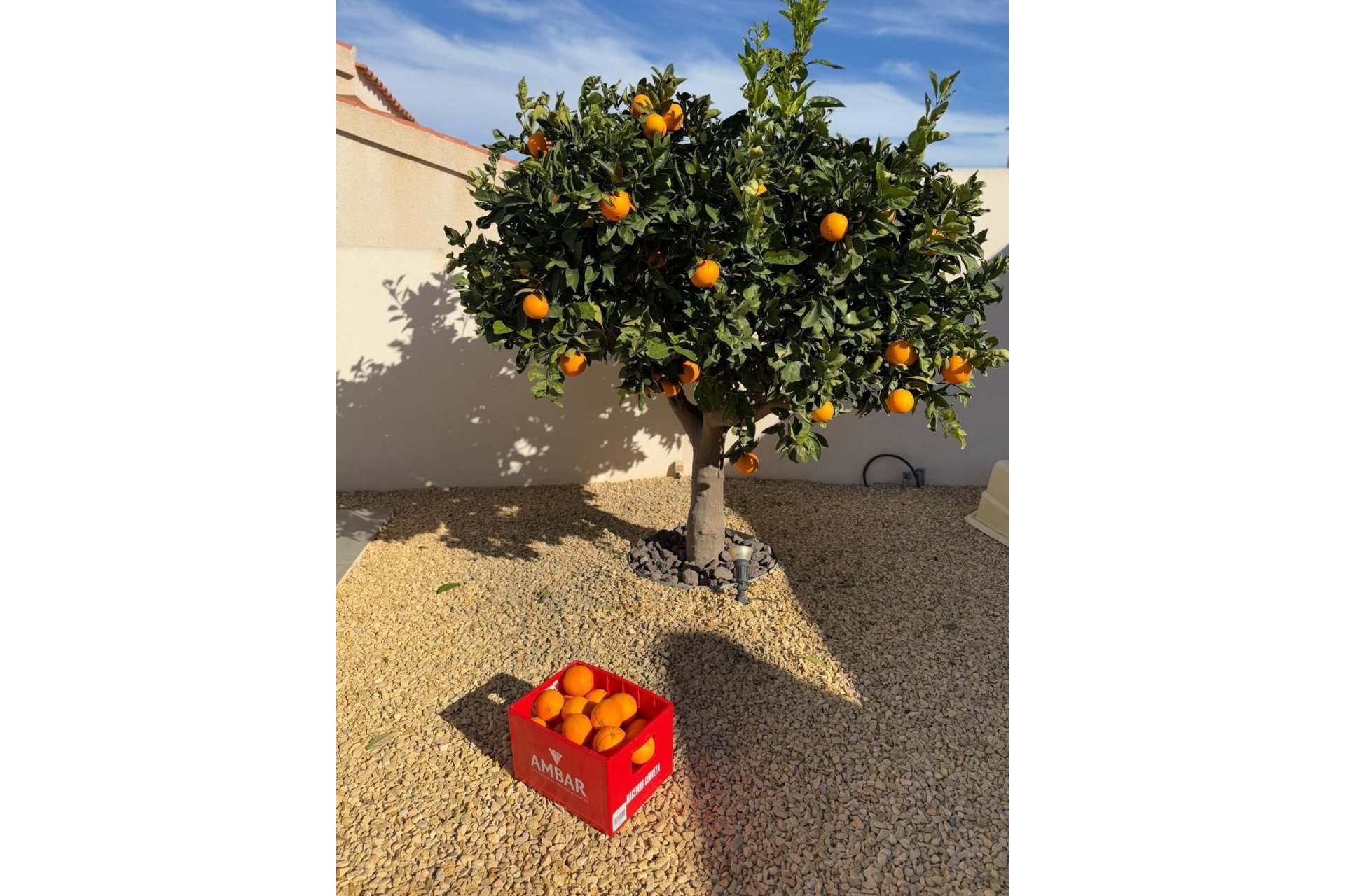 Reventa - Villa -
Ciudad Quesada - La Marquesa