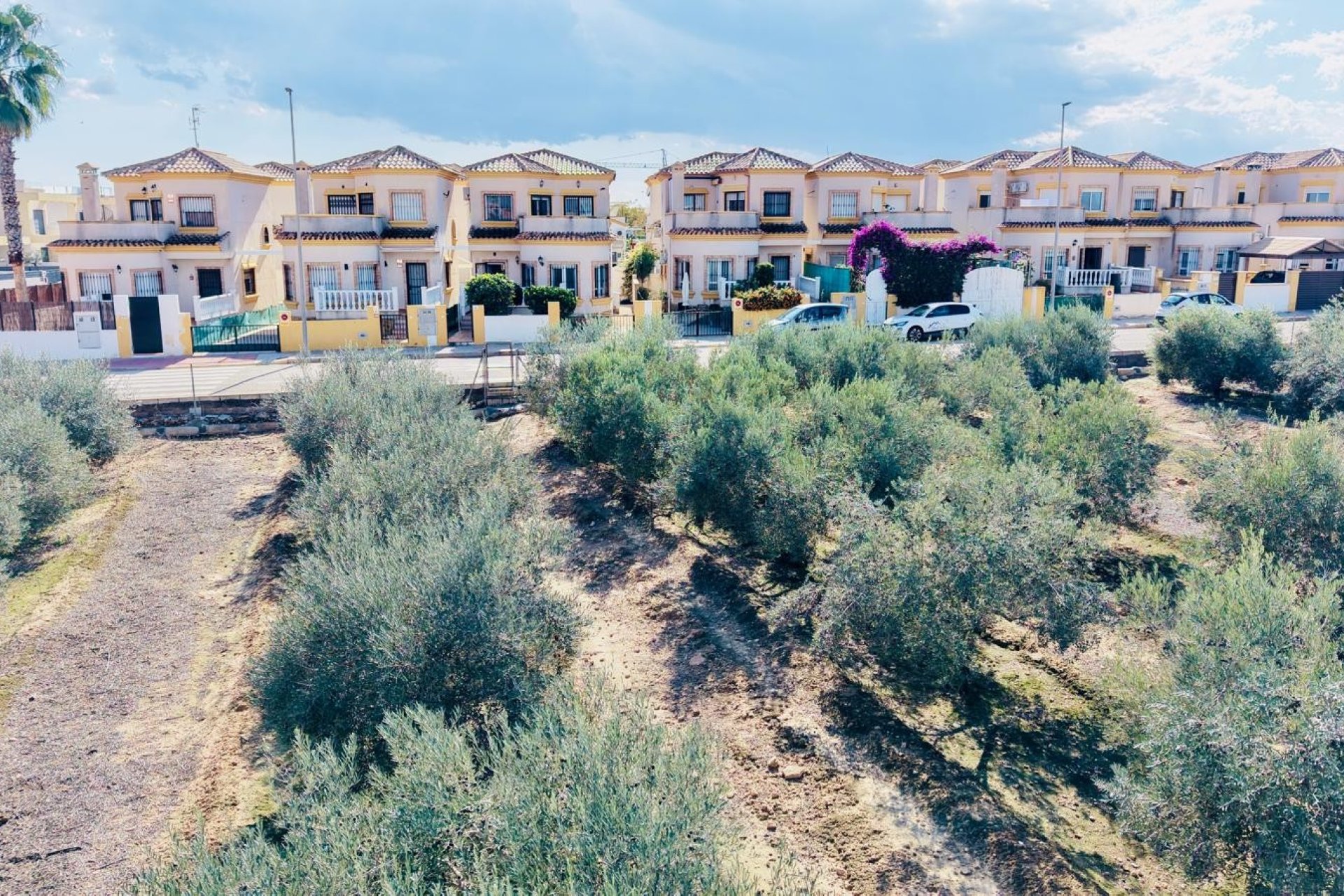 Reventa - Villa -
Los Montesinos - La Herrada