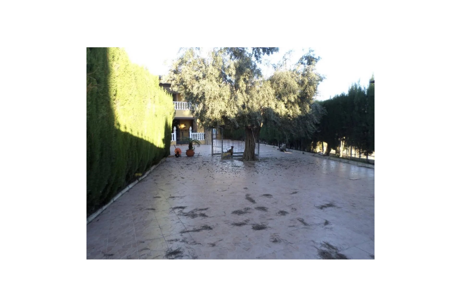Reventa - Villa -
Orihuela - CAMPO