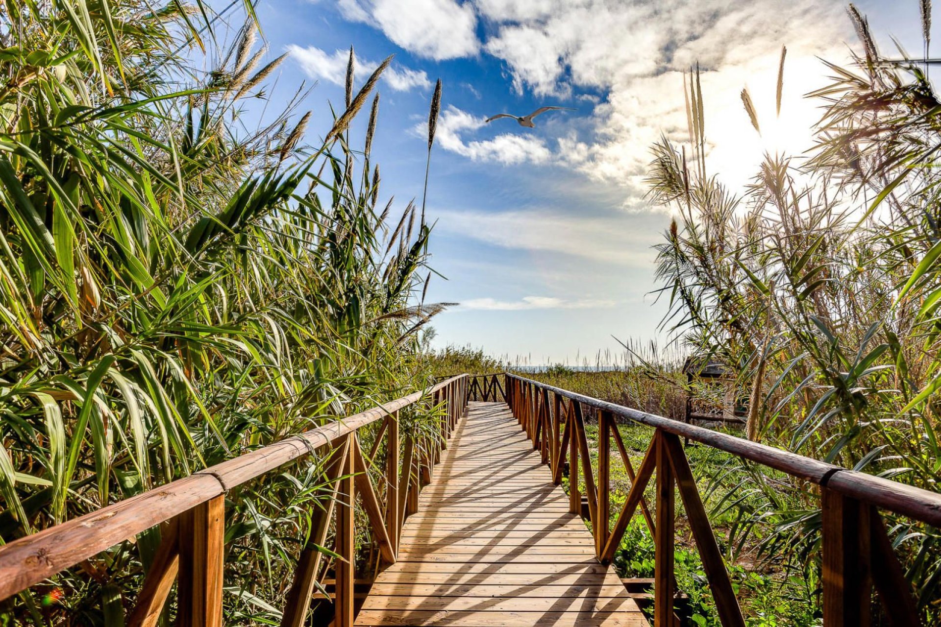 Reventa - Villa -
San Fulgencio - La Marina