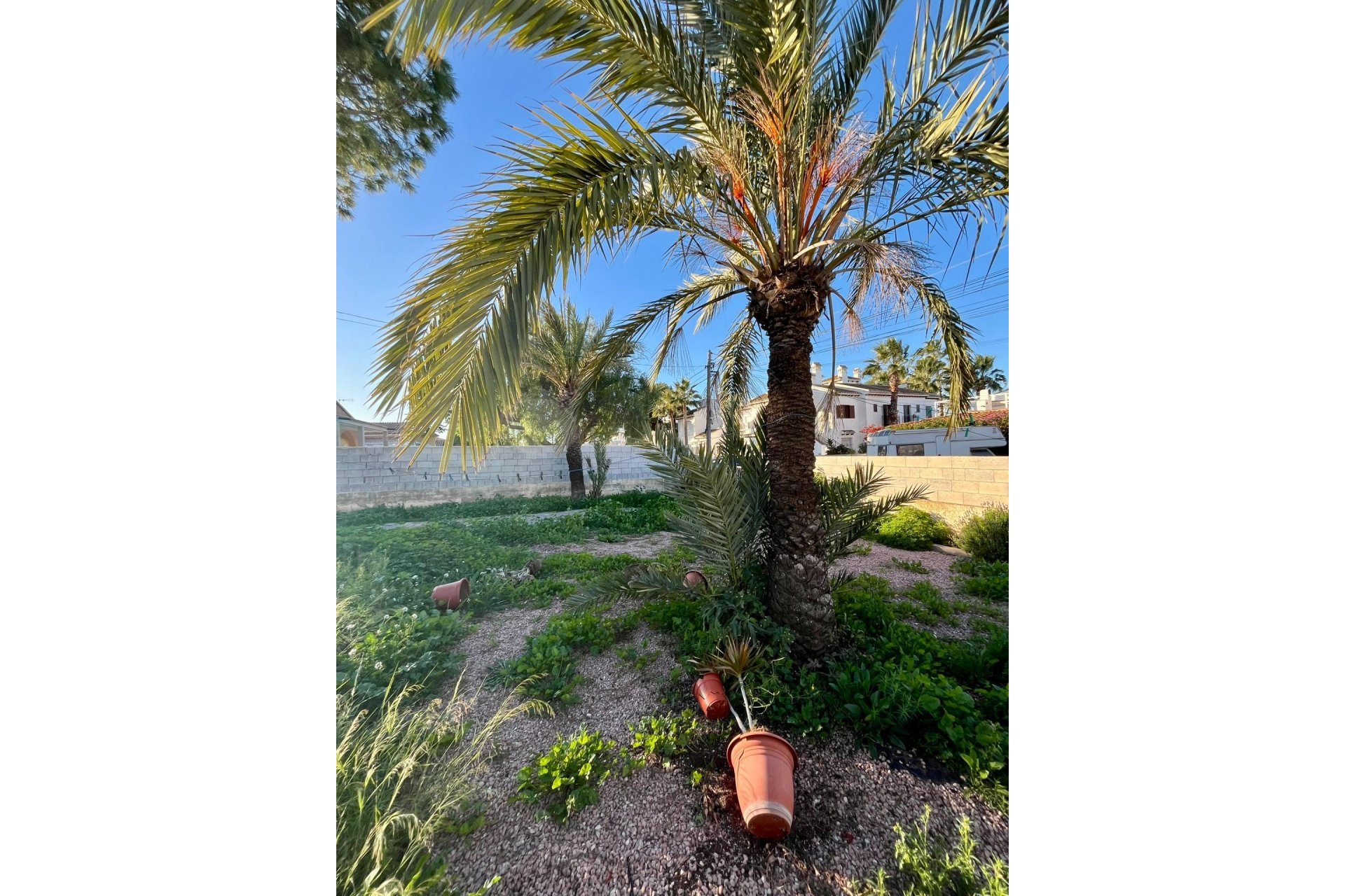 Reventa - Villa -
Torrevieja - Aguas Nuevas