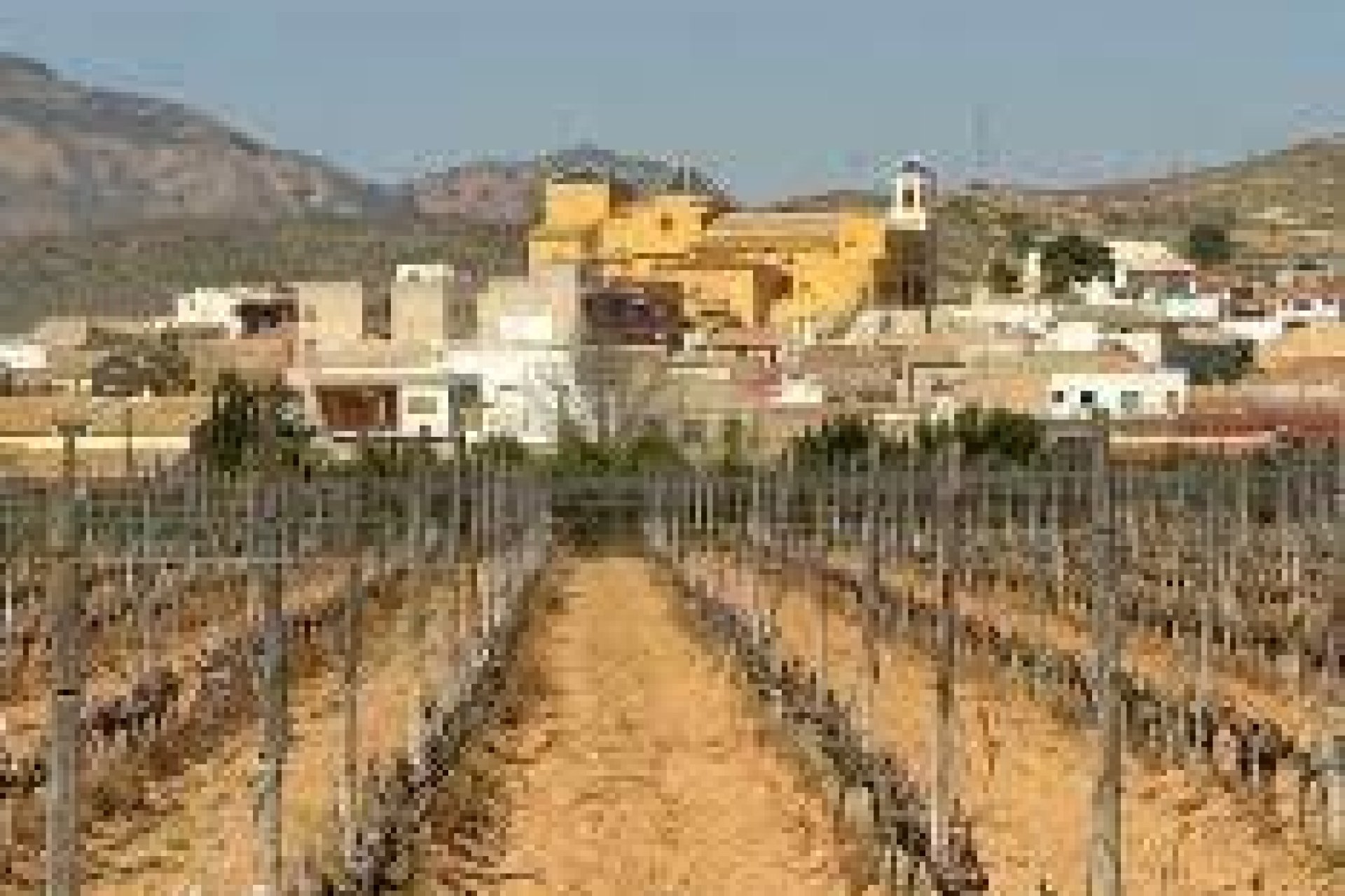 Rynek pierwotny - Bungalowy -
Hondón de las Nieves - El Salero