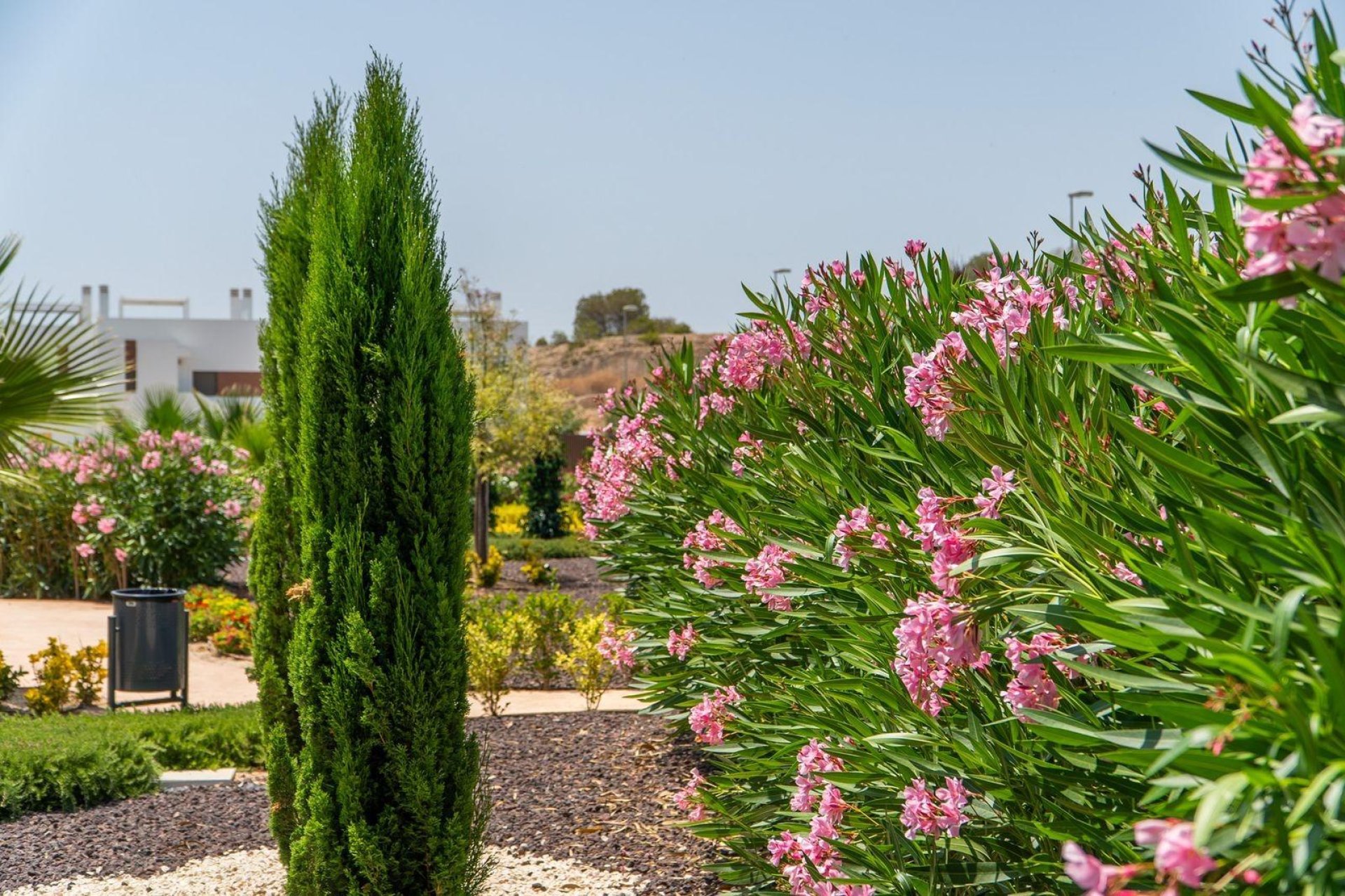 Rynek pierwotny - Bungalowy -
Orihuela - Vistabella Golf