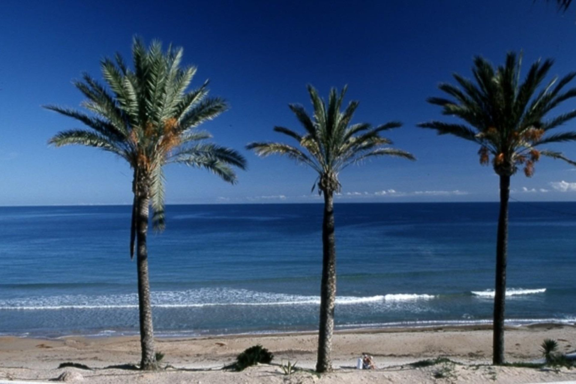 Rynek pierwotny - Bungalowy -
Pilar de la Horadada - Parque Ramon eugenio Escudero