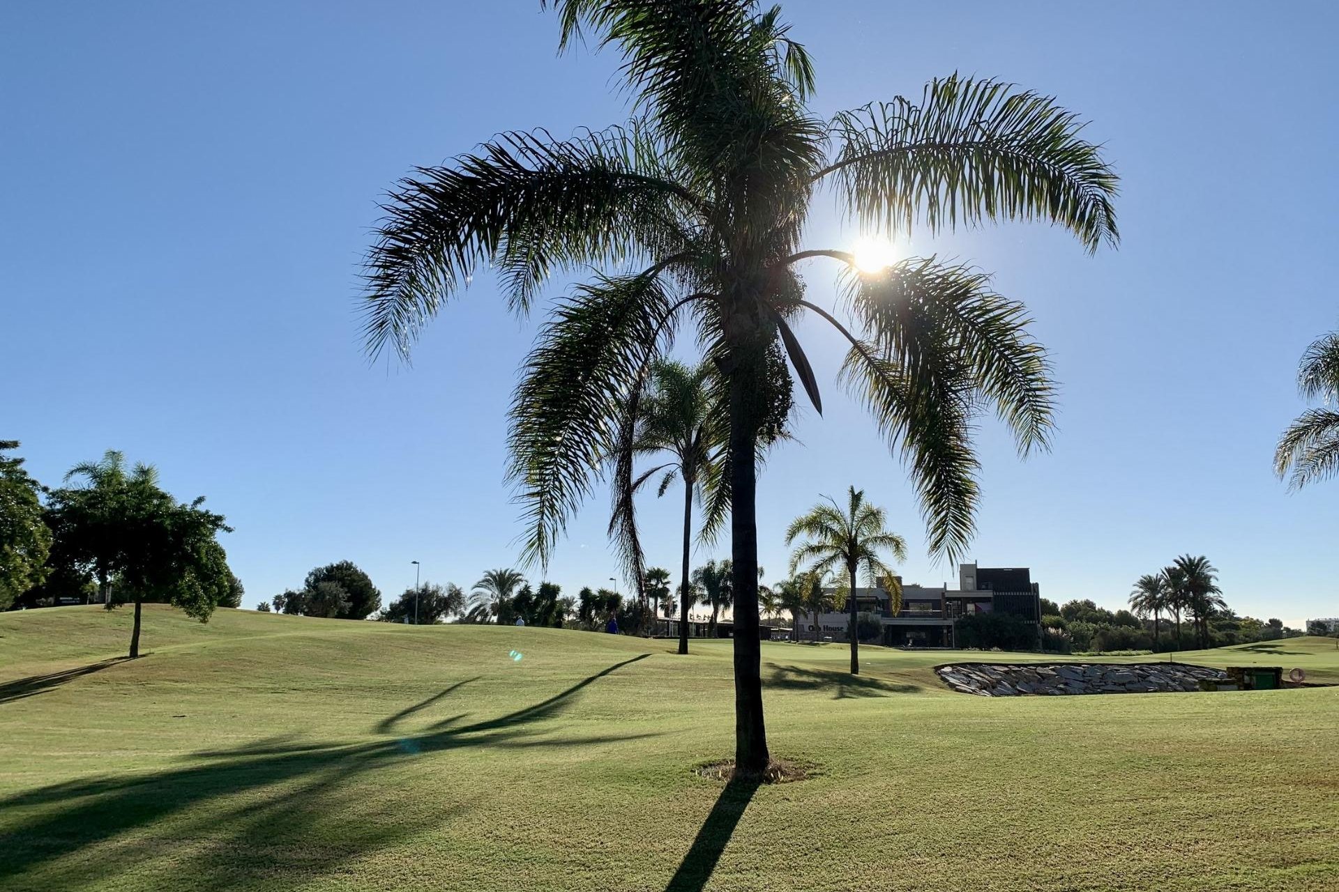 Rynek pierwotny - Bungalowy -
San Javier - Roda Golf
