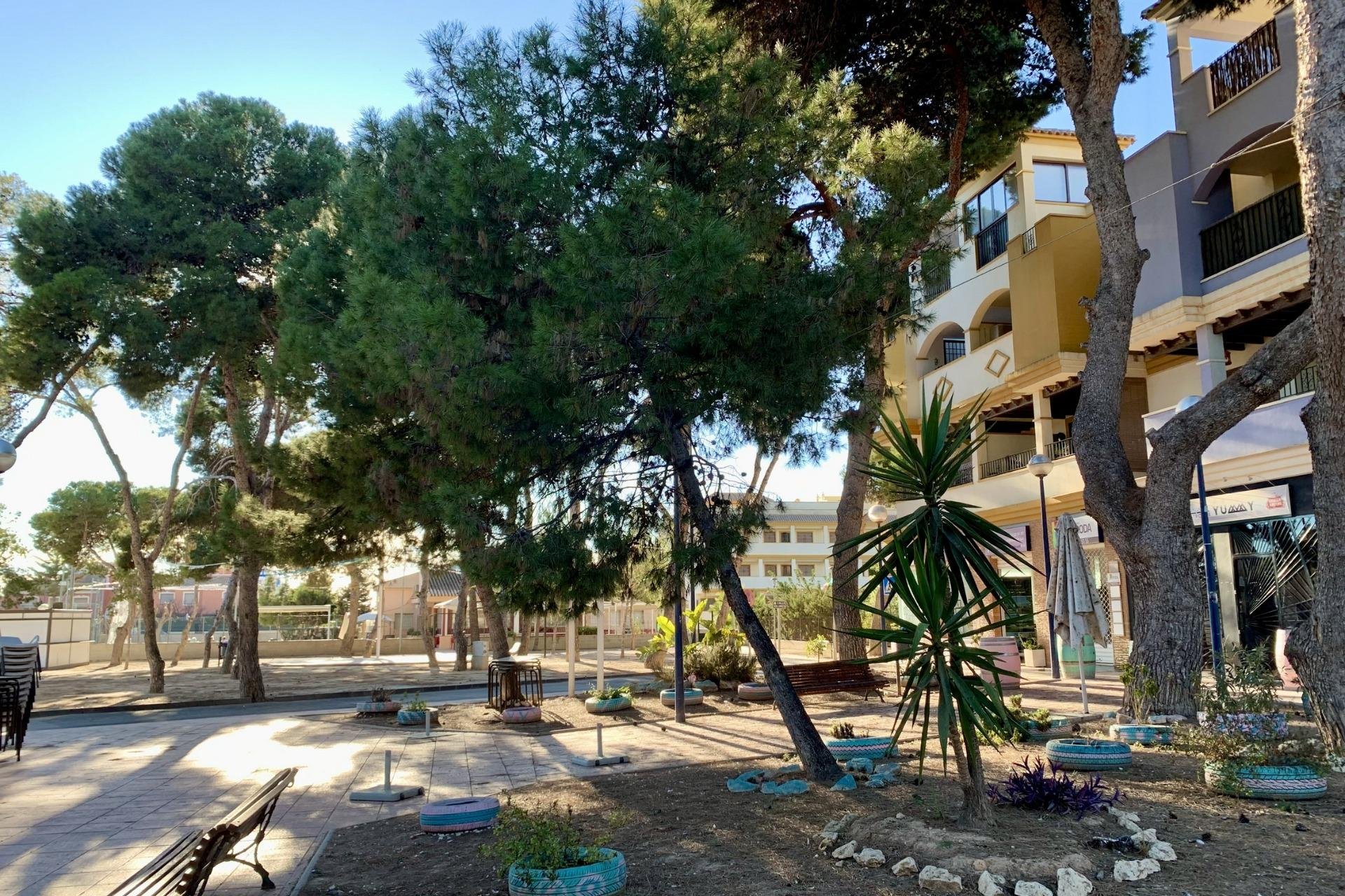 Rynek pierwotny - Bungalowy -
San Javier - Roda Golf