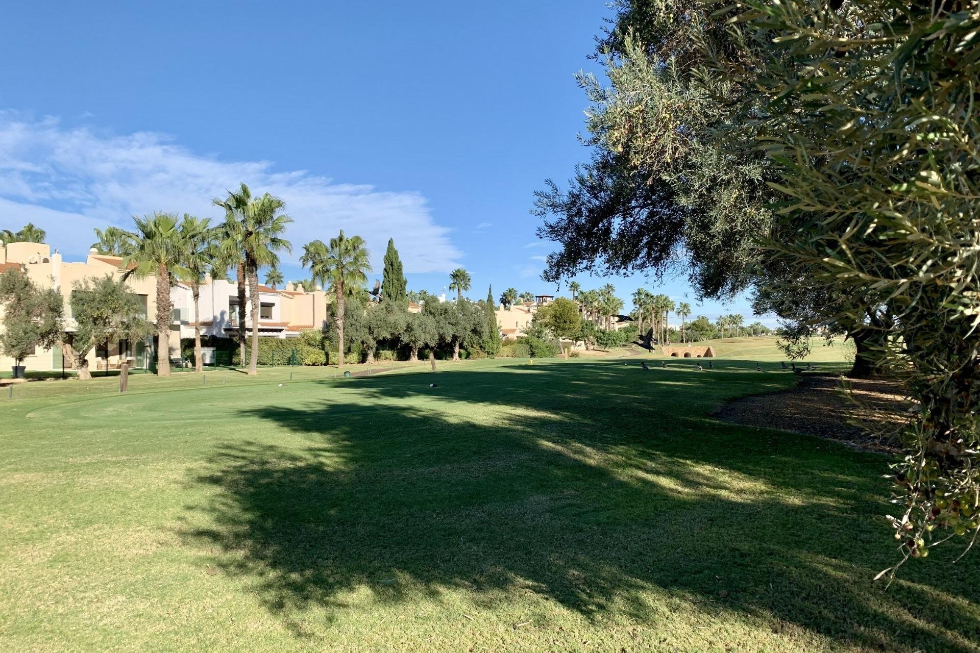 Rynek pierwotny - Bungalowy -
San Javier - Roda Golf