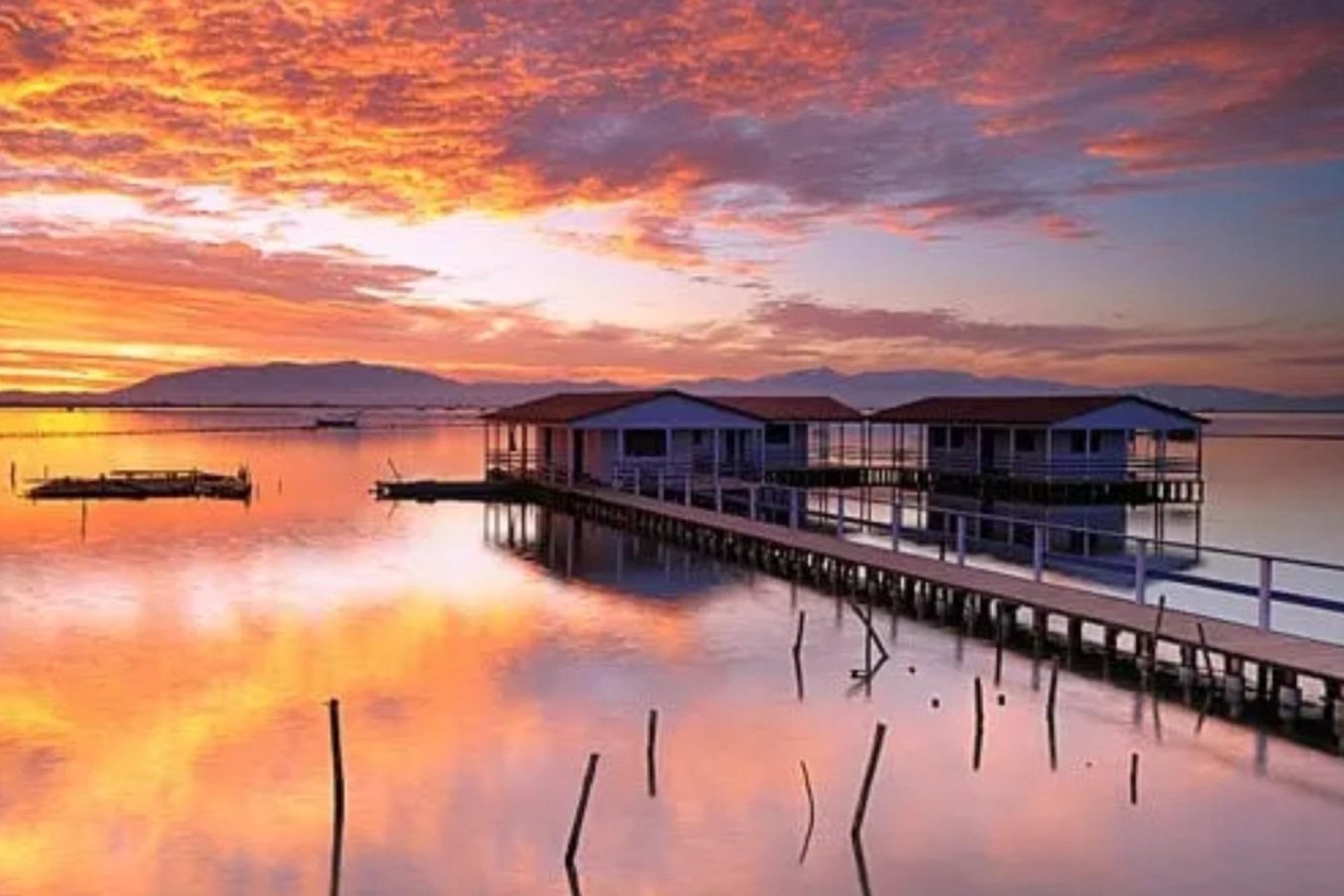 Rynek pierwotny - Bungalowy -
San Pedro del Pinatar - Los Pinos