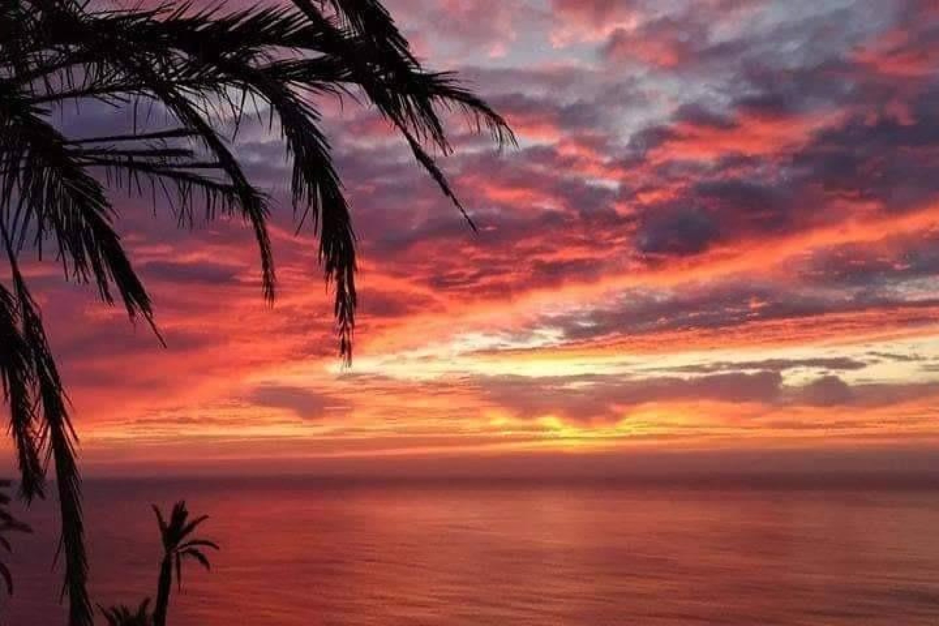 Rynek pierwotny - Bungalowy -
Torrevieja - Aguas Nuevas