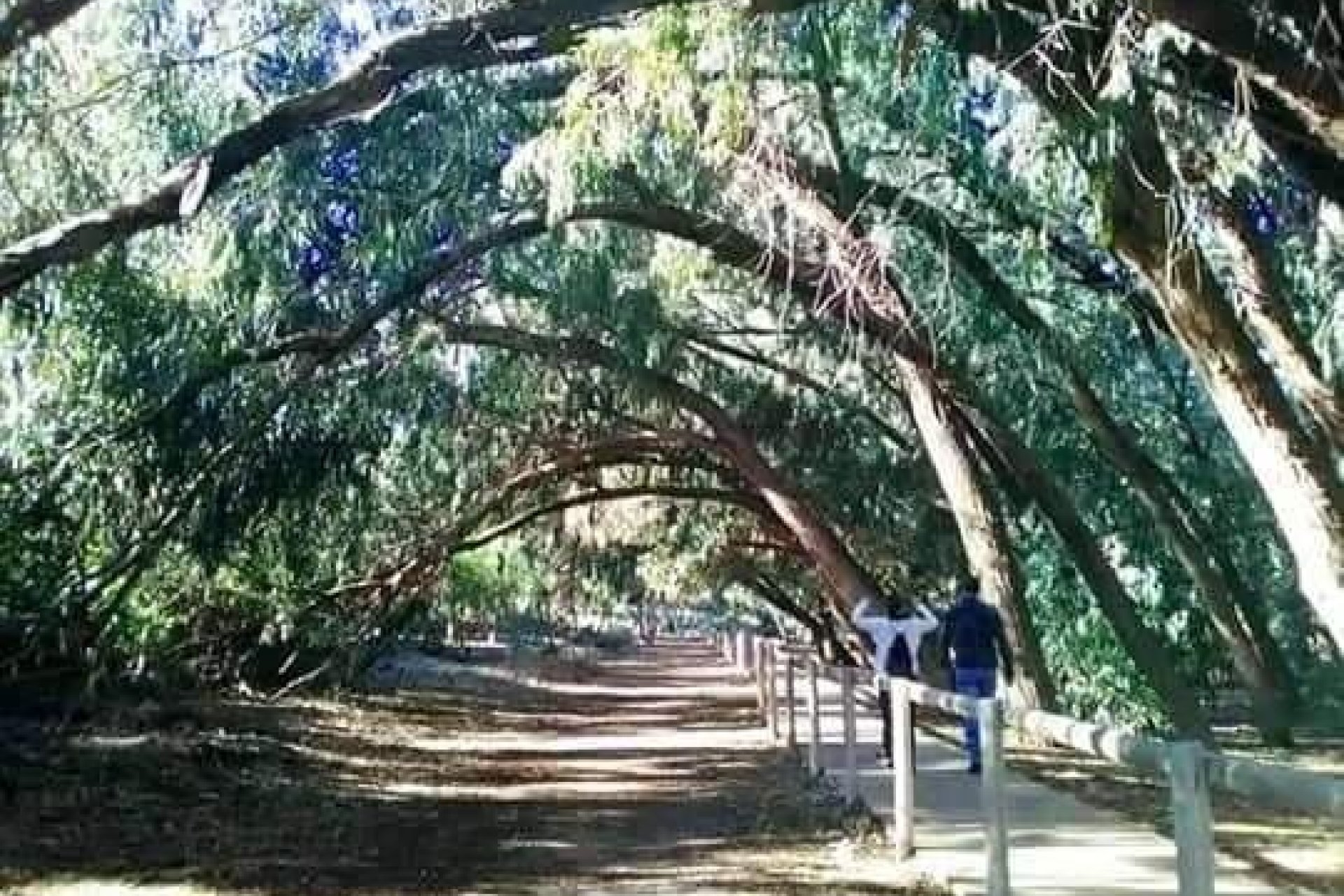 Rynek pierwotny - Bungalowy -
Torrevieja - Aguas Nuevas