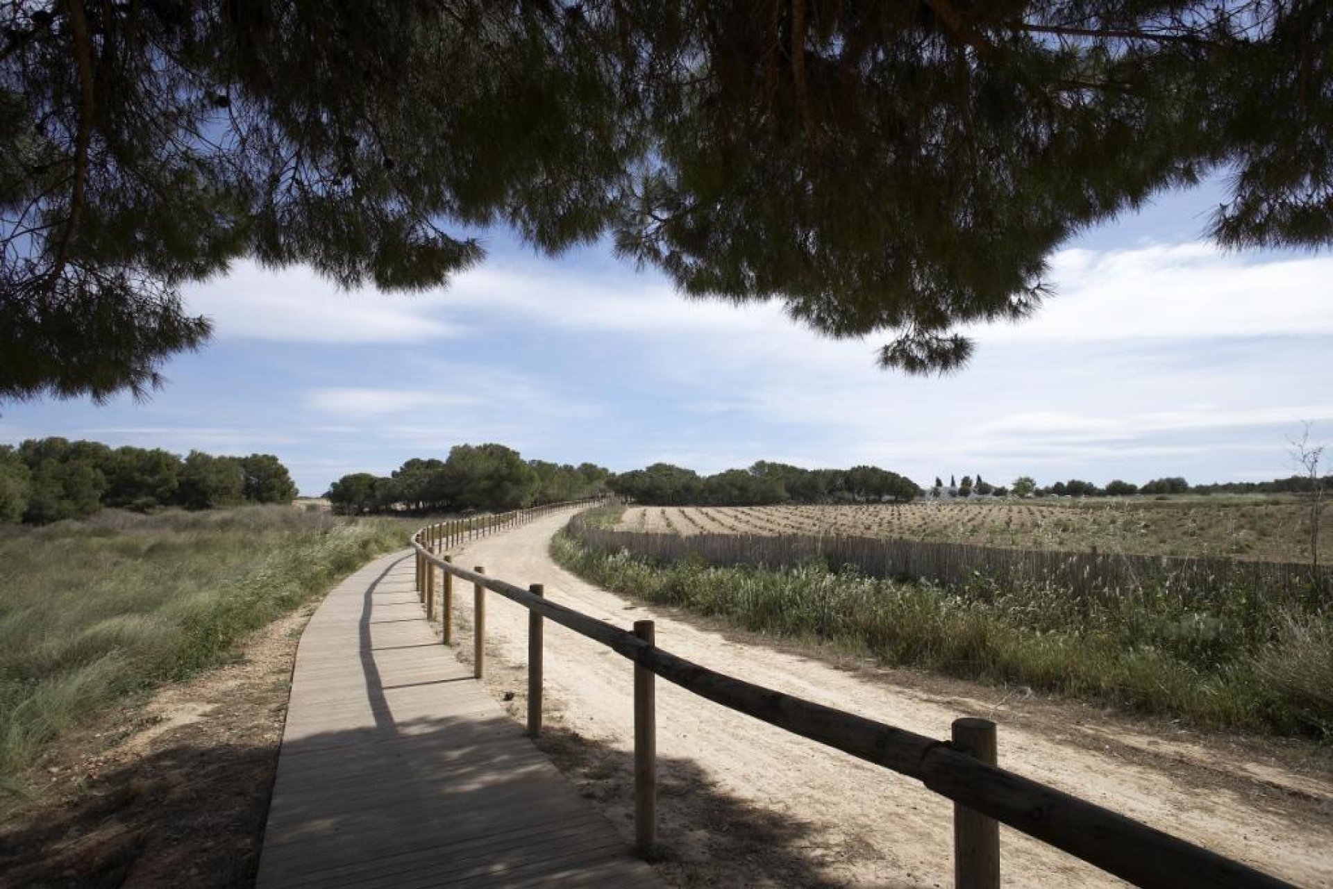 Rynek pierwotny - Bungalowy -
Torrevieja - Aguas Nuevas