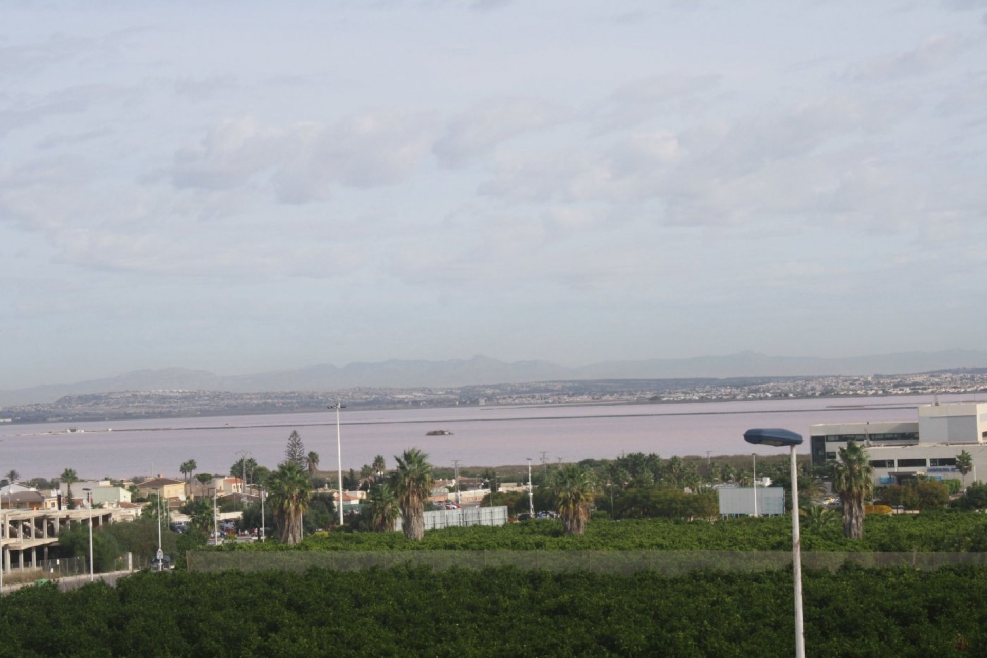 Rynek pierwotny - Kamienica -
Torrevieja - Los Altos