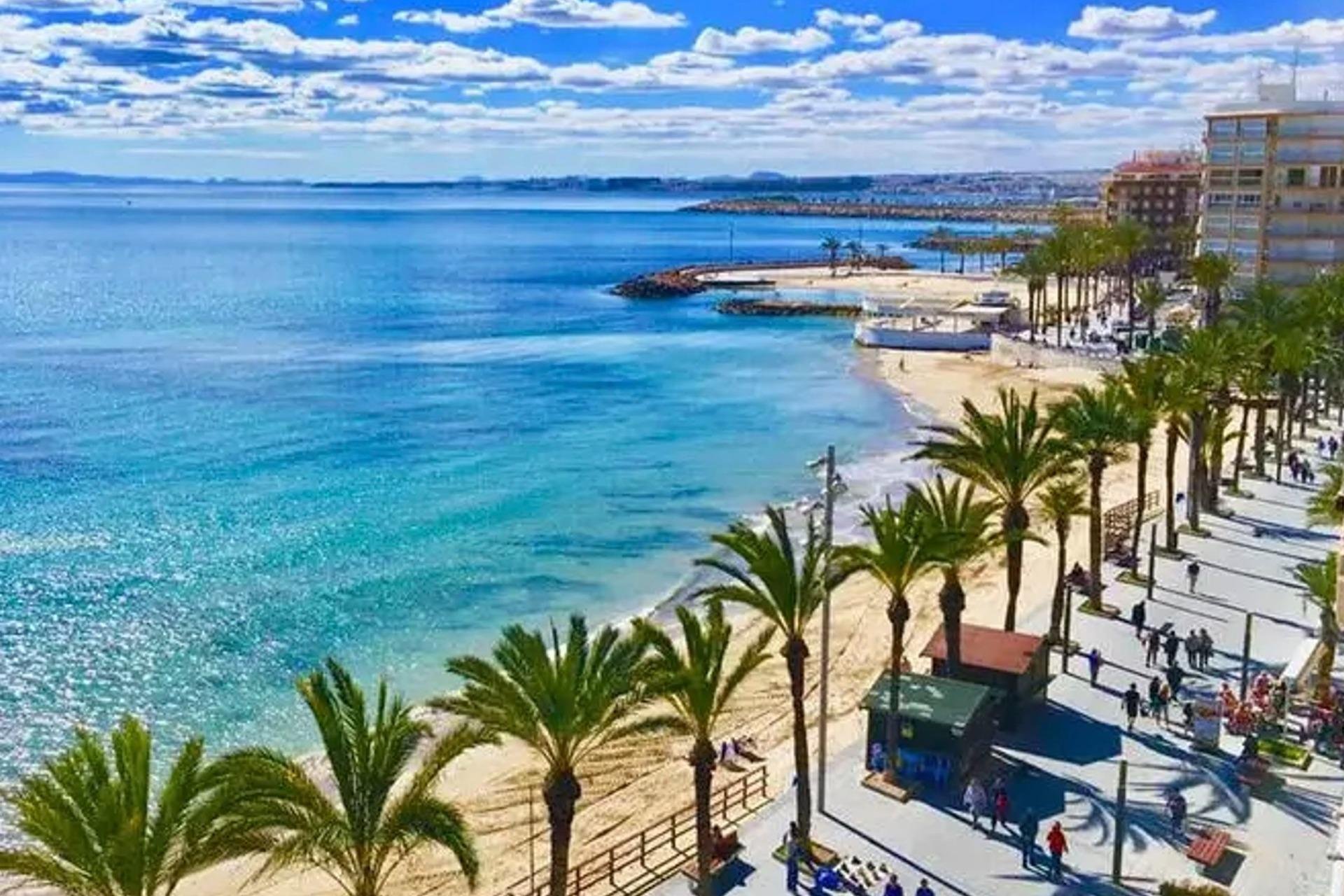 Rynek pierwotny - Mieszkanie w bloku -
Torrevieja - Playa del Cura