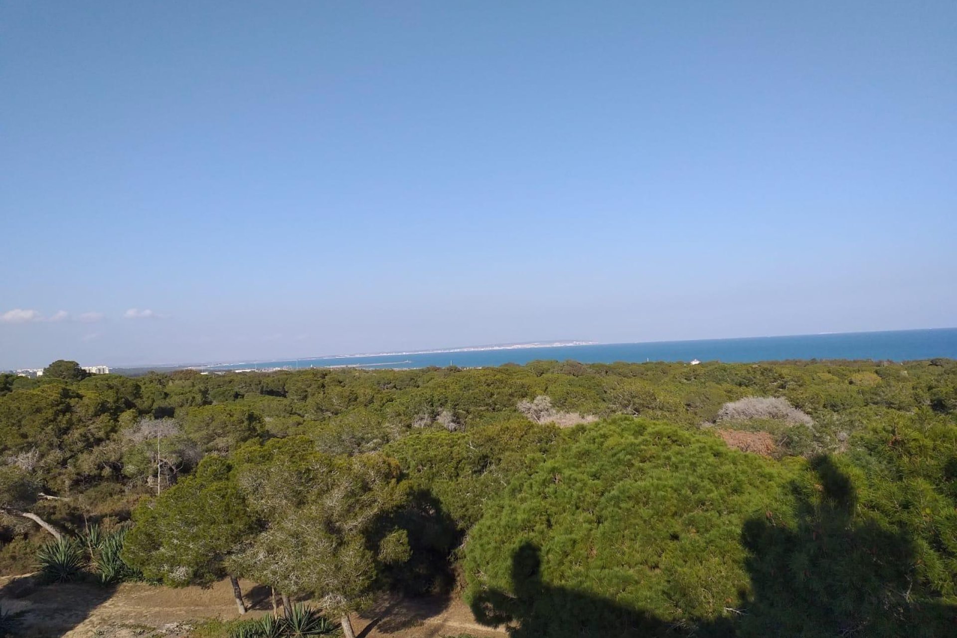 Rynek pierwotny - Penthouse -
Guardamar del Segura - Pueblo