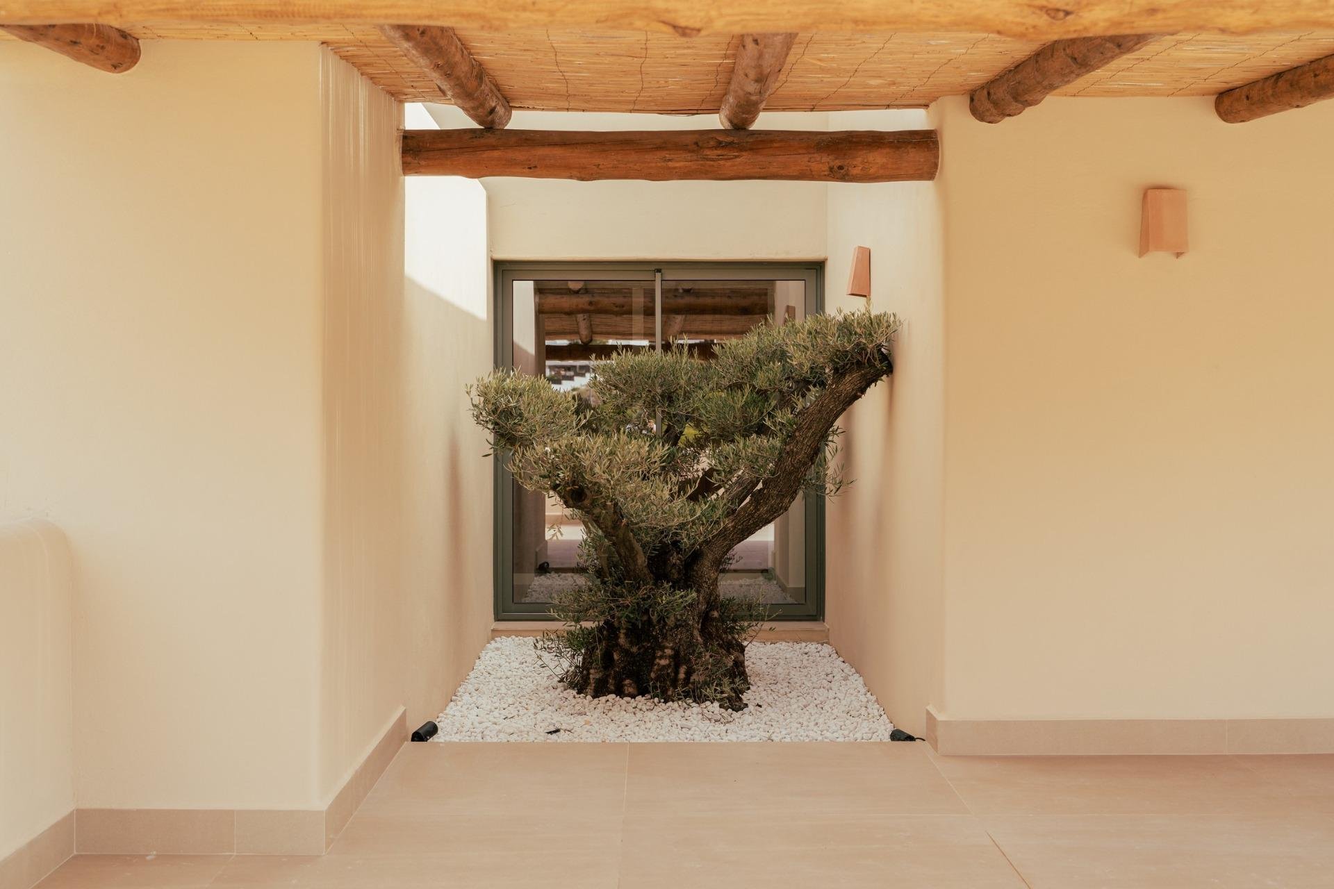 Rynek pierwotny - Willa -
Jávea Xàbia - Valle del Sol