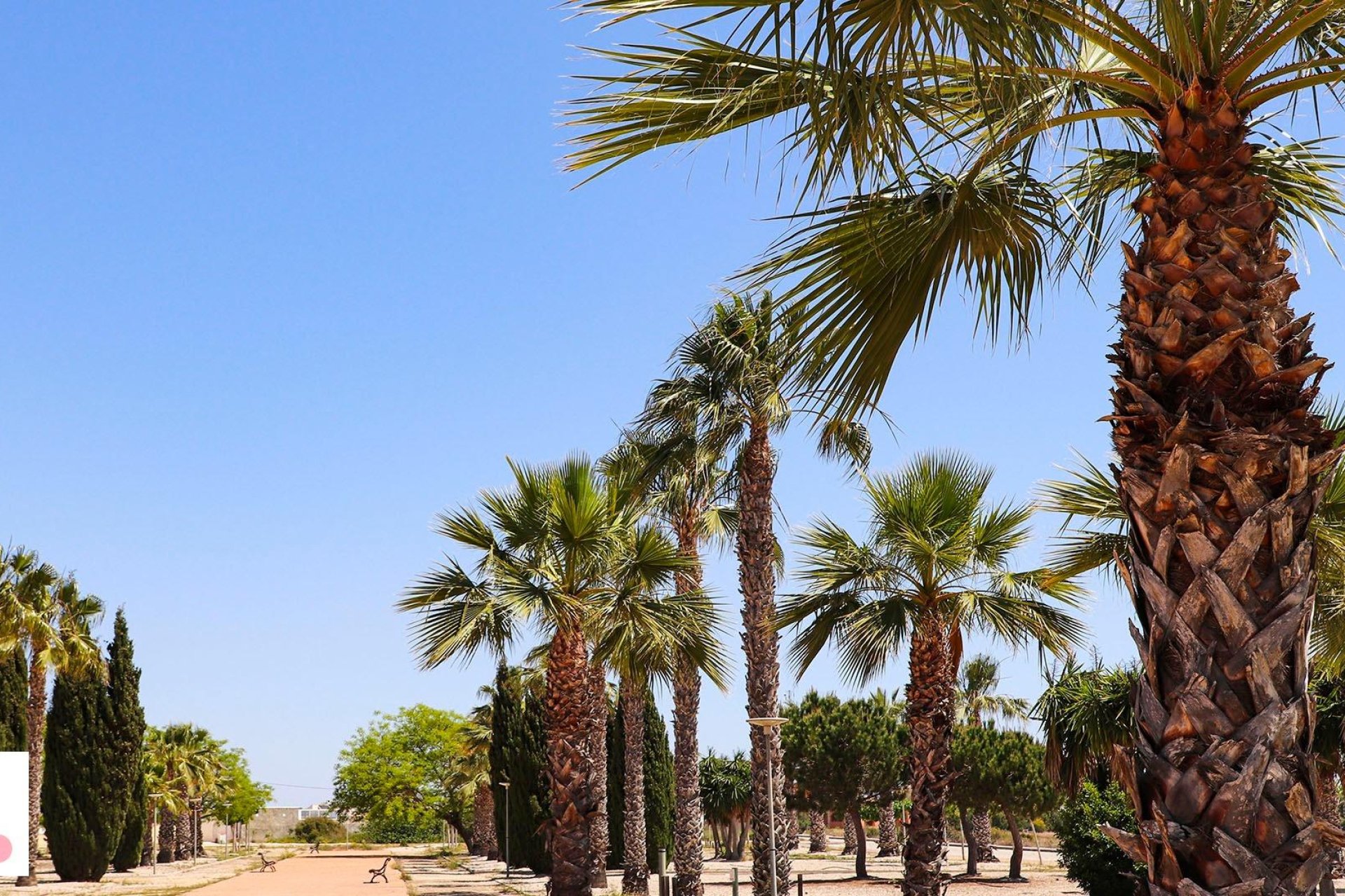 Rynek pierwotny - Willa -
San Fulgencio - La Escuera