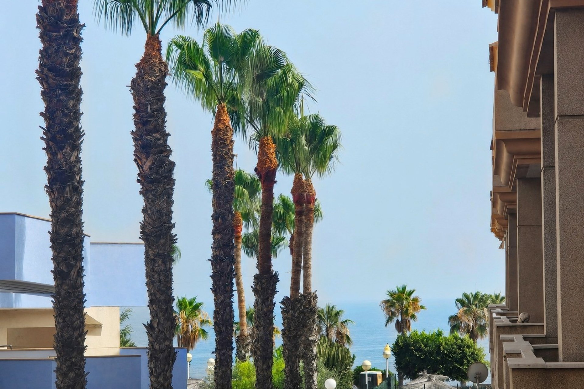 Rynek wtórny - Apartament / Duplex -
Orihuela Costa - Agua Marina