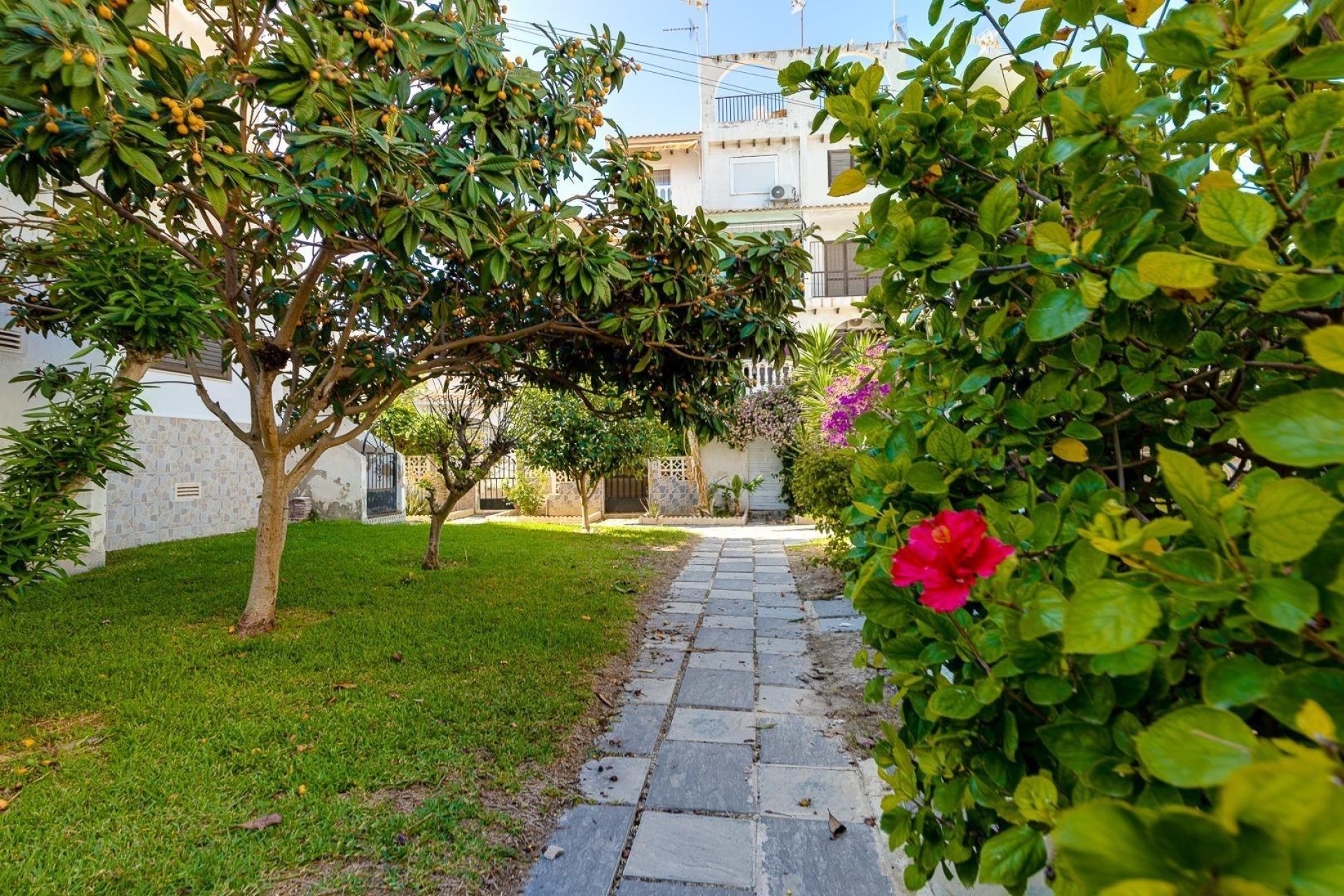 Rynek wtórny - Ático Dúplex -
Torrevieja - Calas blanca