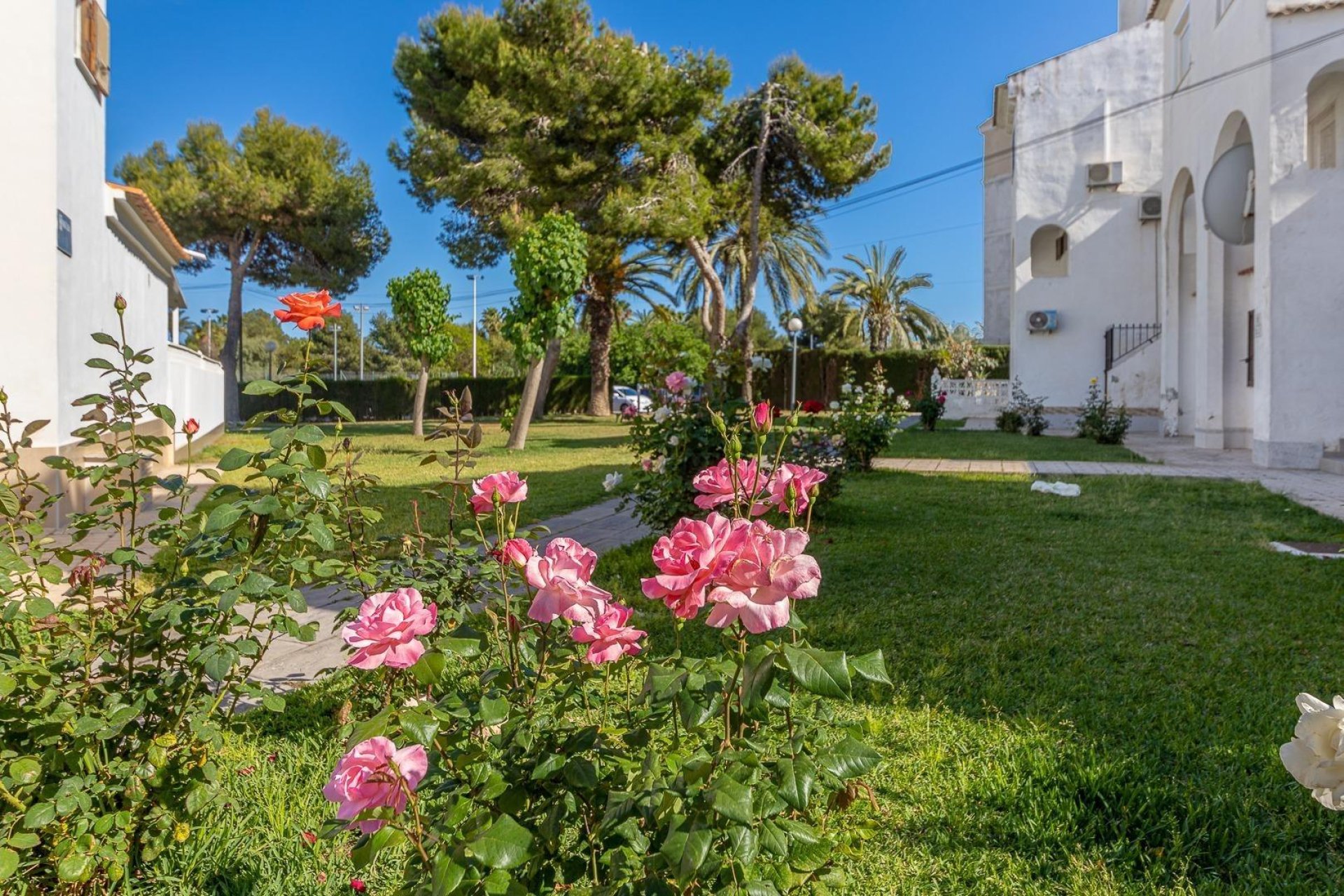 Rynek wtórny - Ático Dúplex -
Torrevieja - Calas blanca