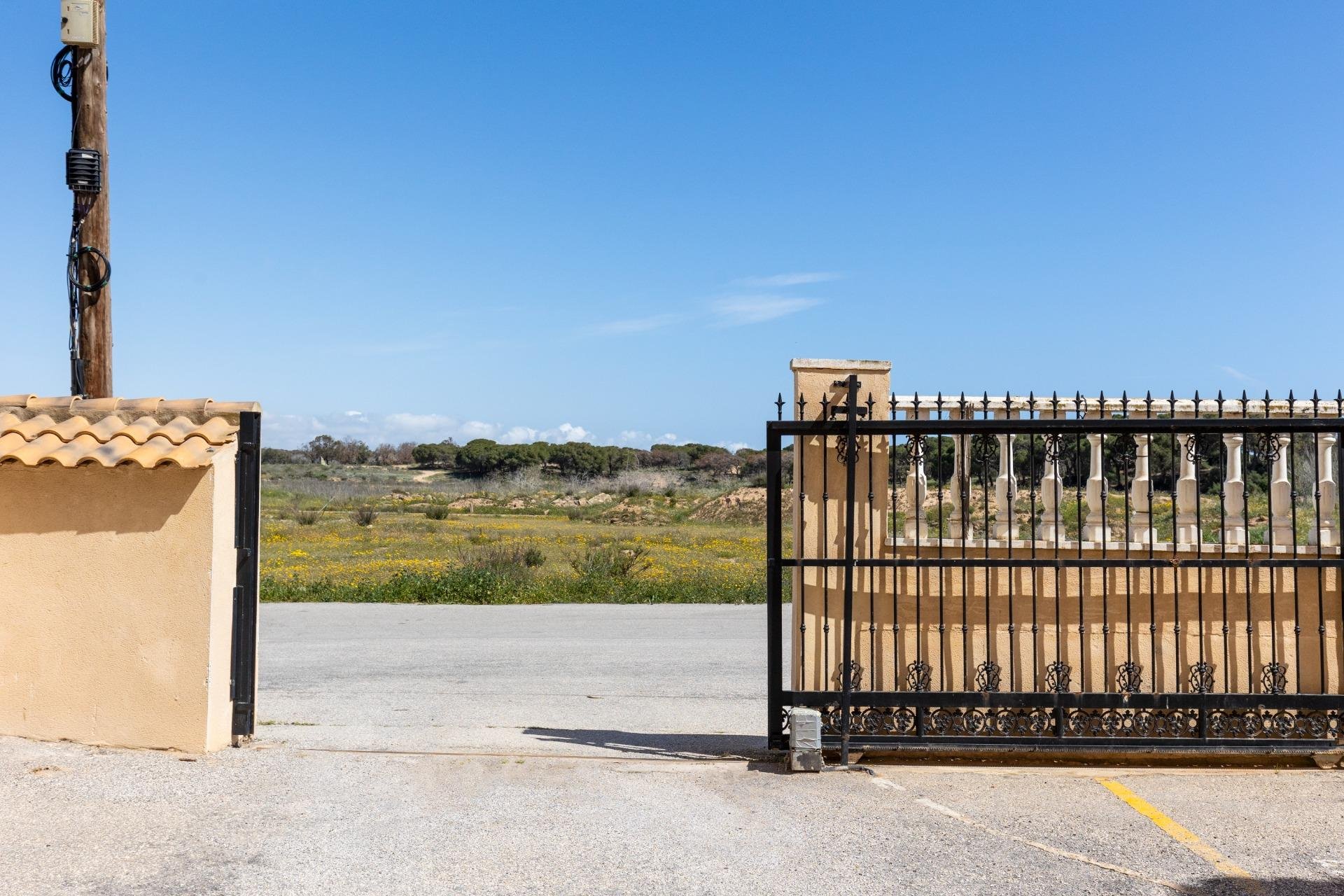 Rynek wtórny - Bungalowy -
Guardamar del Segura - Urbanizaciones