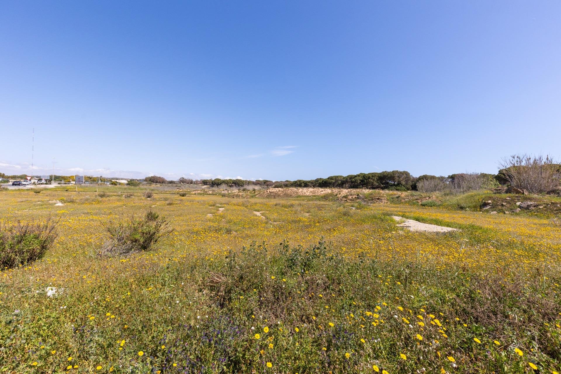 Rynek wtórny - Bungalowy -
Guardamar del Segura - Urbanizaciones