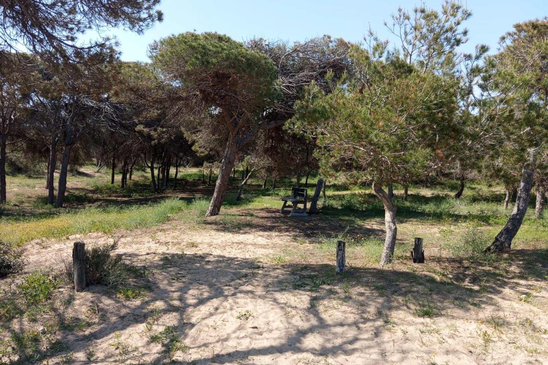 Rynek wtórny - Bungalowy -
Guardamar del Segura - Urbanizaciones