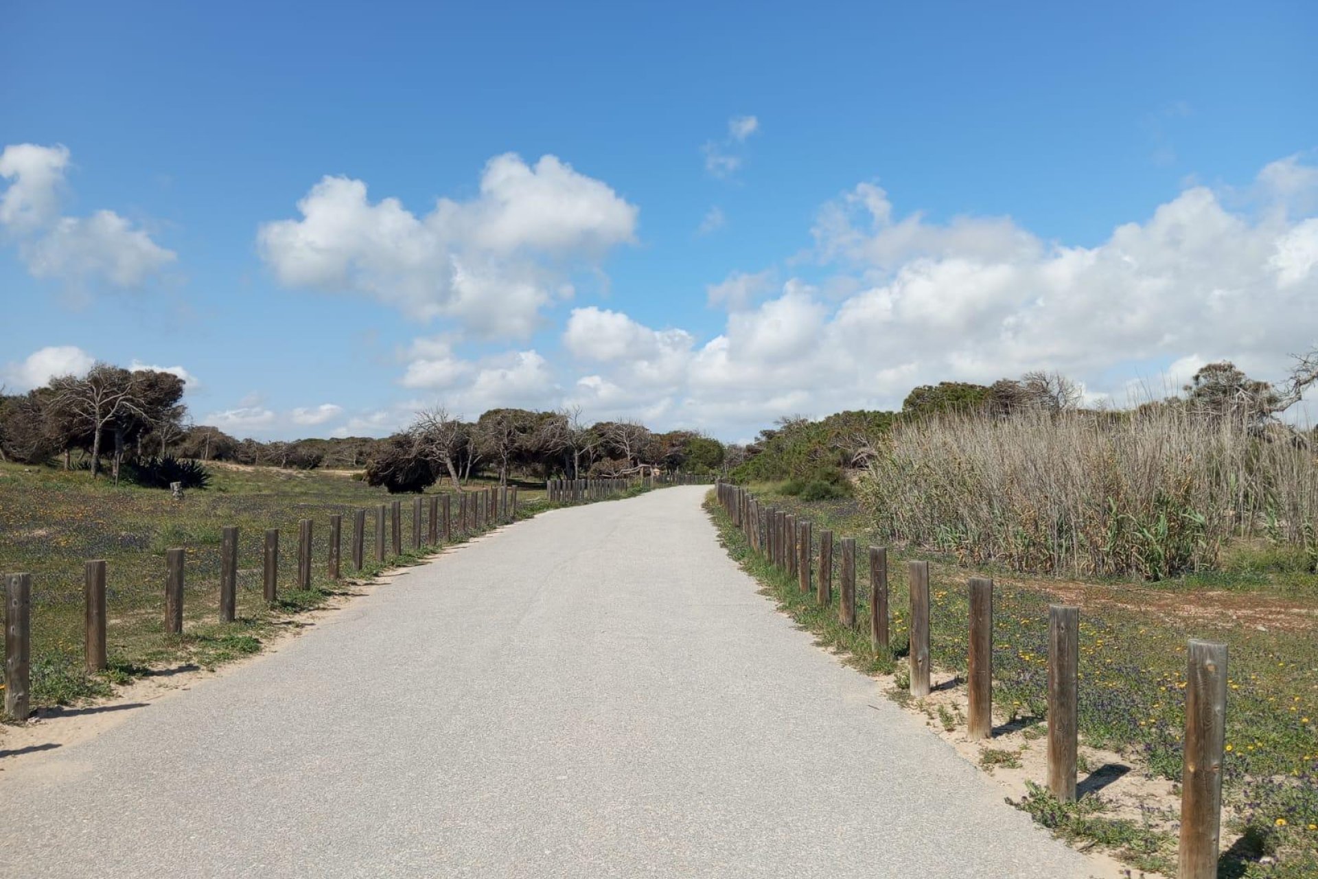 Rynek wtórny - Bungalowy -
Guardamar del Segura - Urbanizaciones