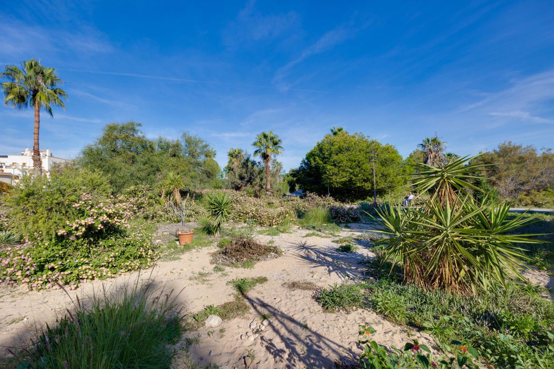 Rynek wtórny - Bungalowy -
Orihuela Costa - Los Altos