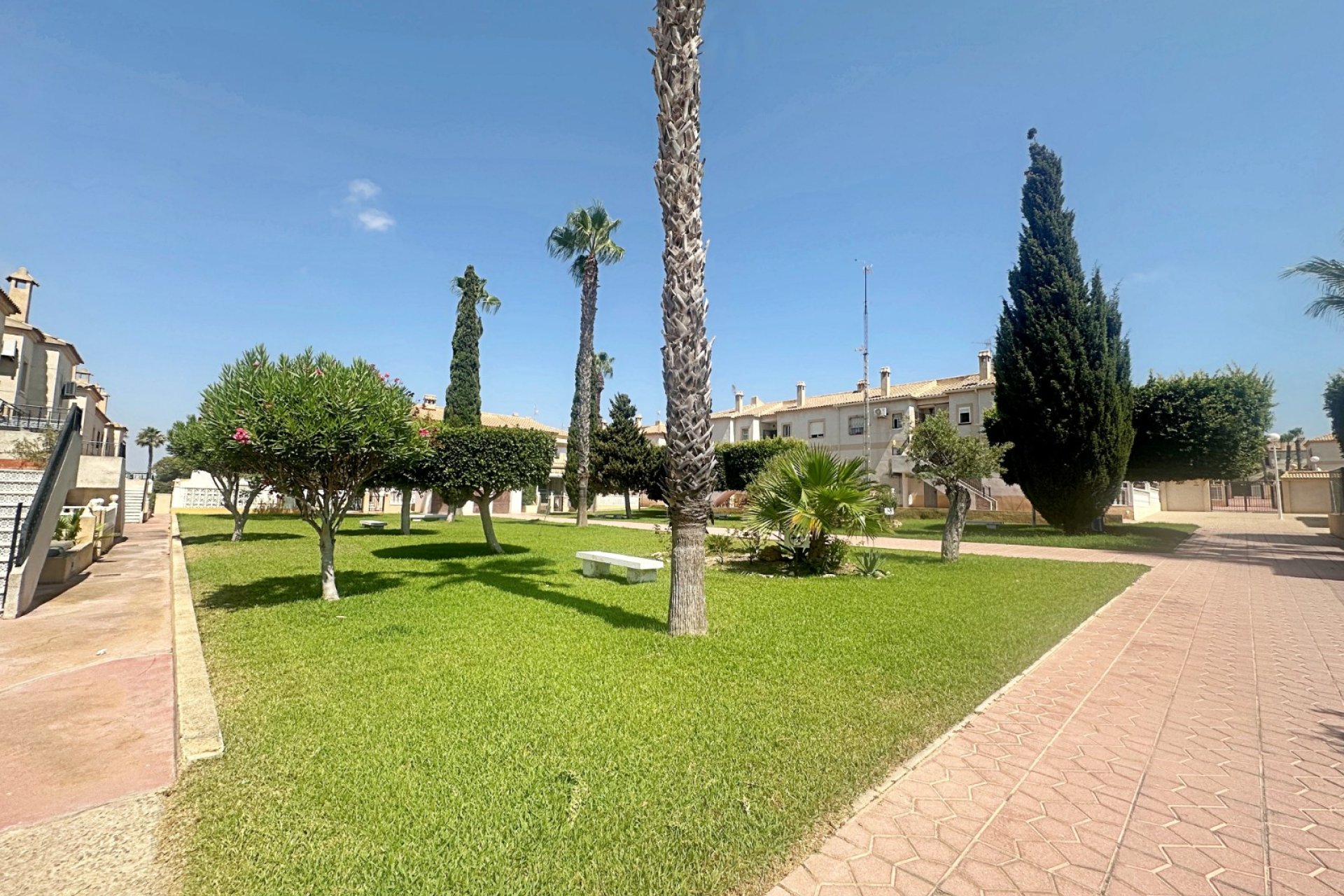 Rynek wtórny - Bungalowy -
Torrevieja - Aguas Nuevas