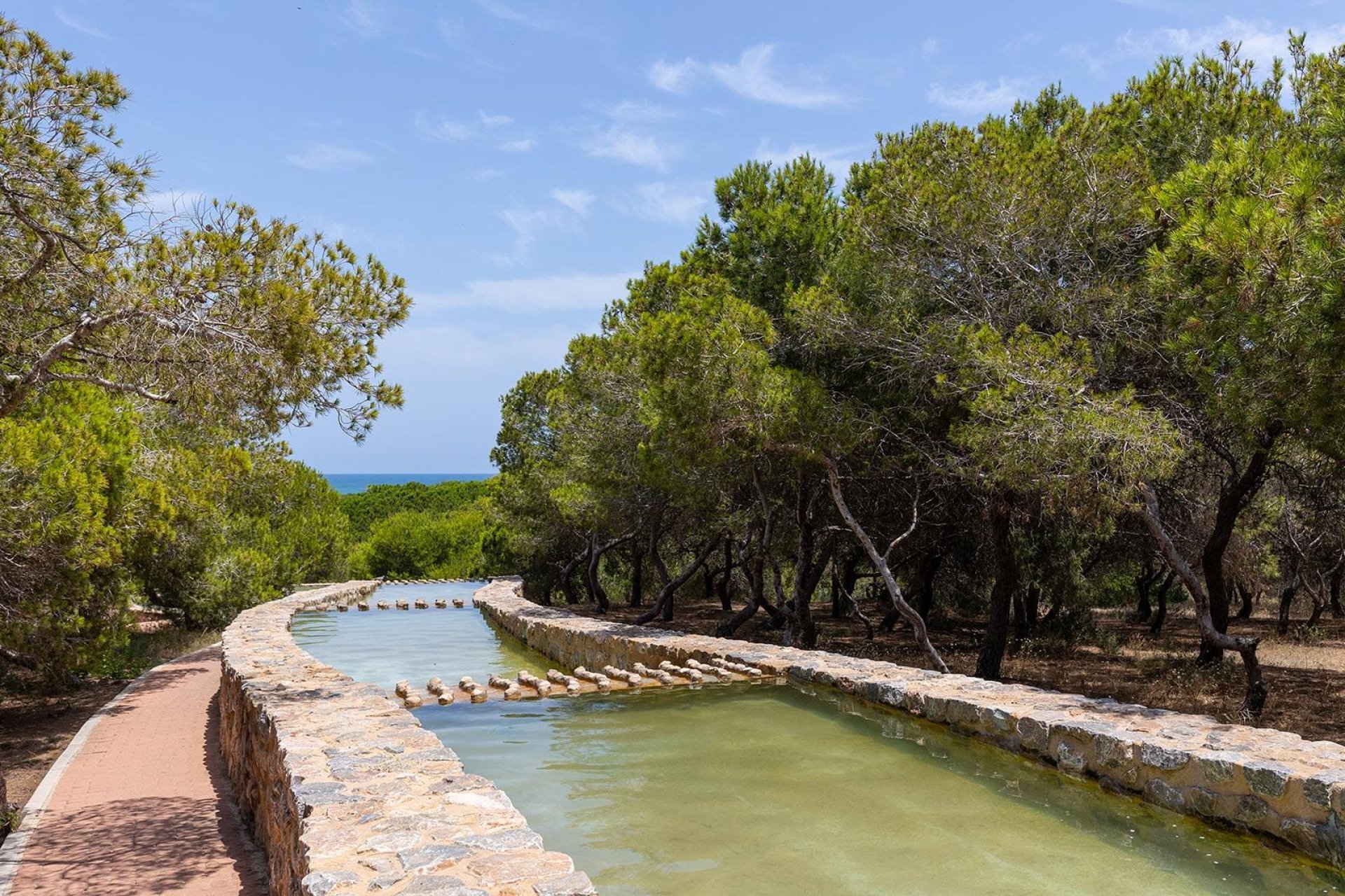 Rynek wtórny - Bungalowy -
Torrevieja - La Mata