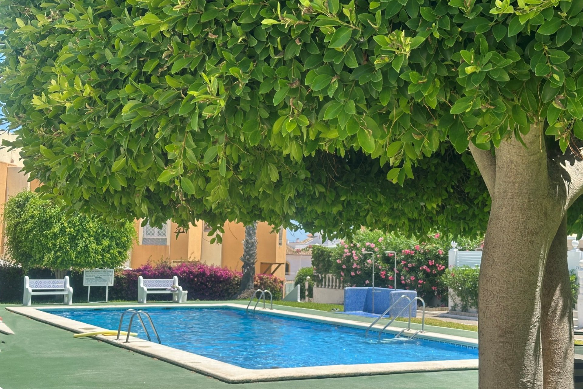 Rynek wtórny - Bungalowy -
Torrevieja - La Mata