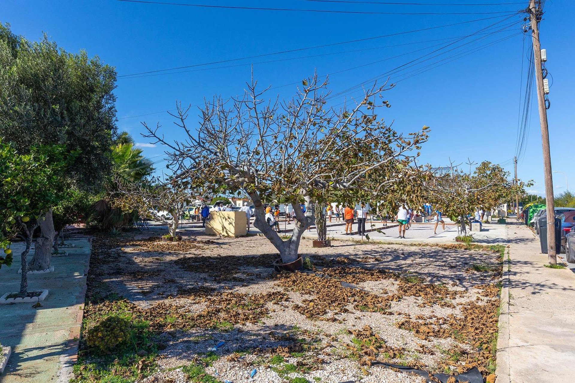 Rynek wtórny - Bungalowy -
Torrevieja - Torretas - La Siesta - El Limonar