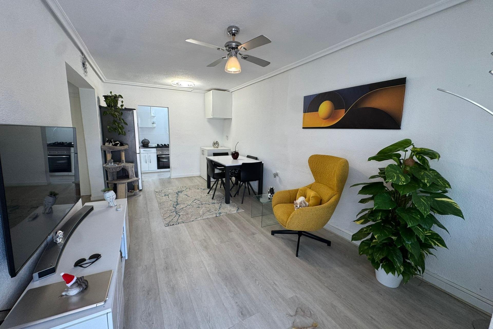 Rynek wtórny - Bungalowy -
Torrevieja - Torretas - La Siesta - El Limonar