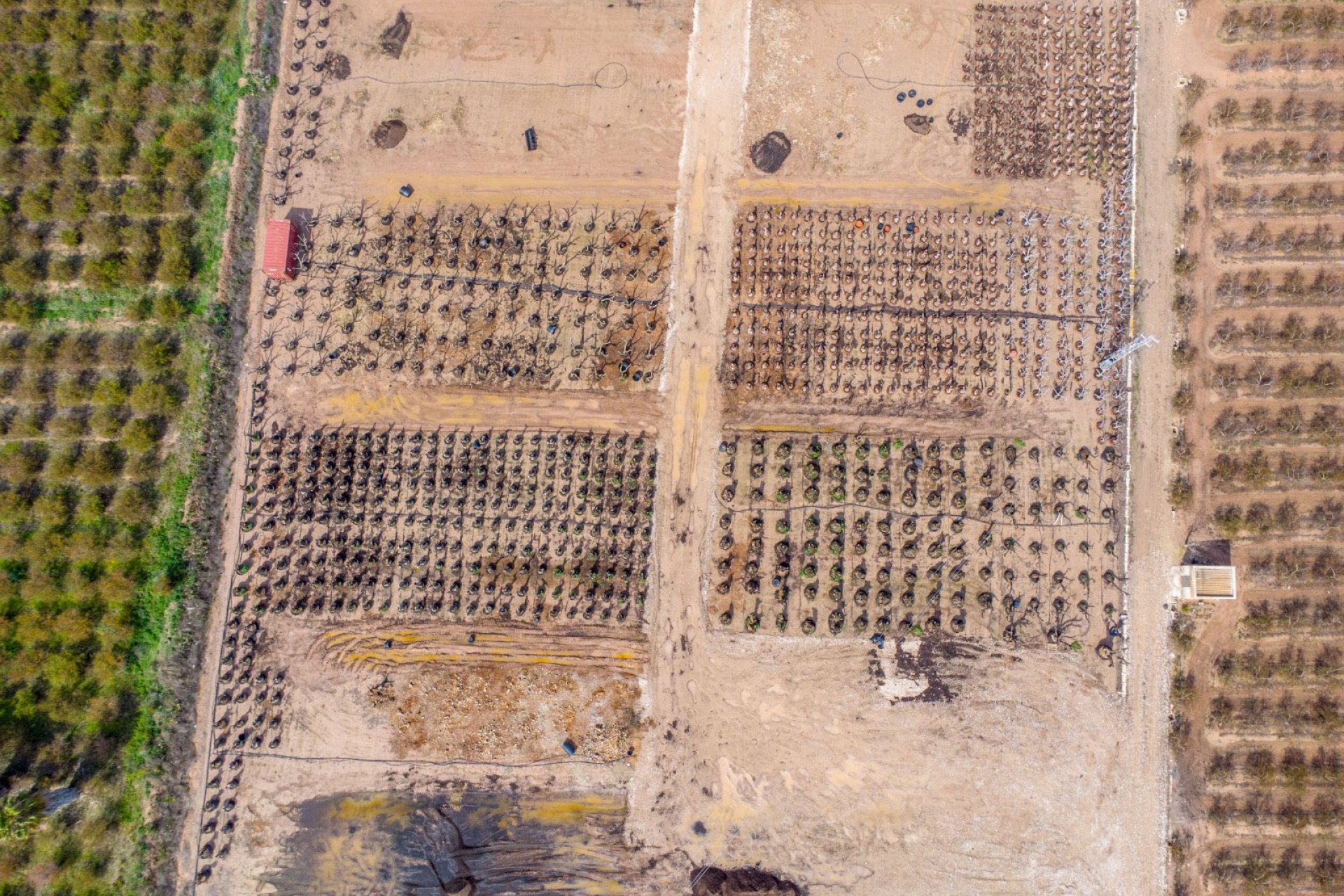 Rynek wtórny - Dom  -
Albatera - Albatera - Country