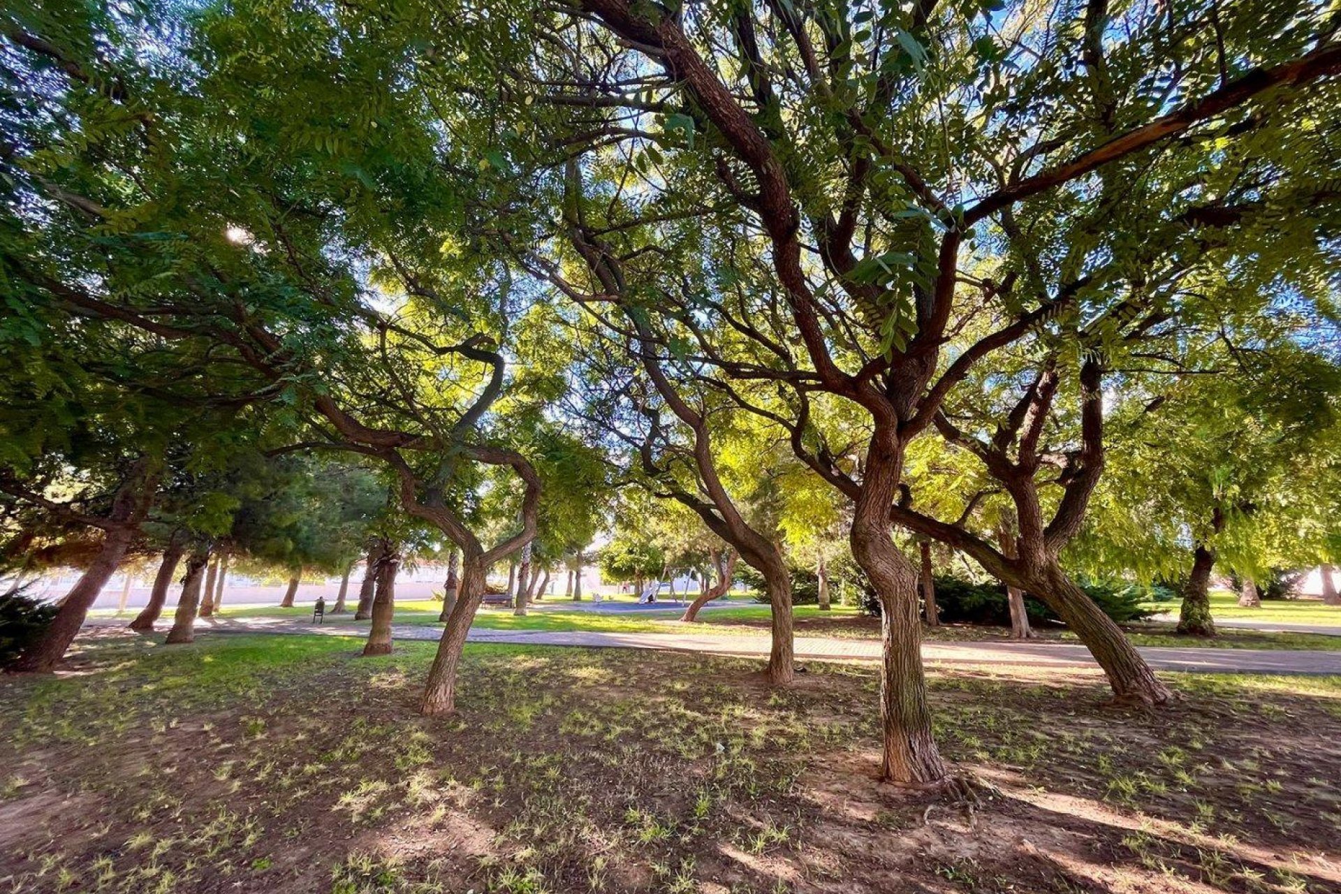 Rynek wtórny - Dom Szeregowy -
Torrevieja - Calas Blancas