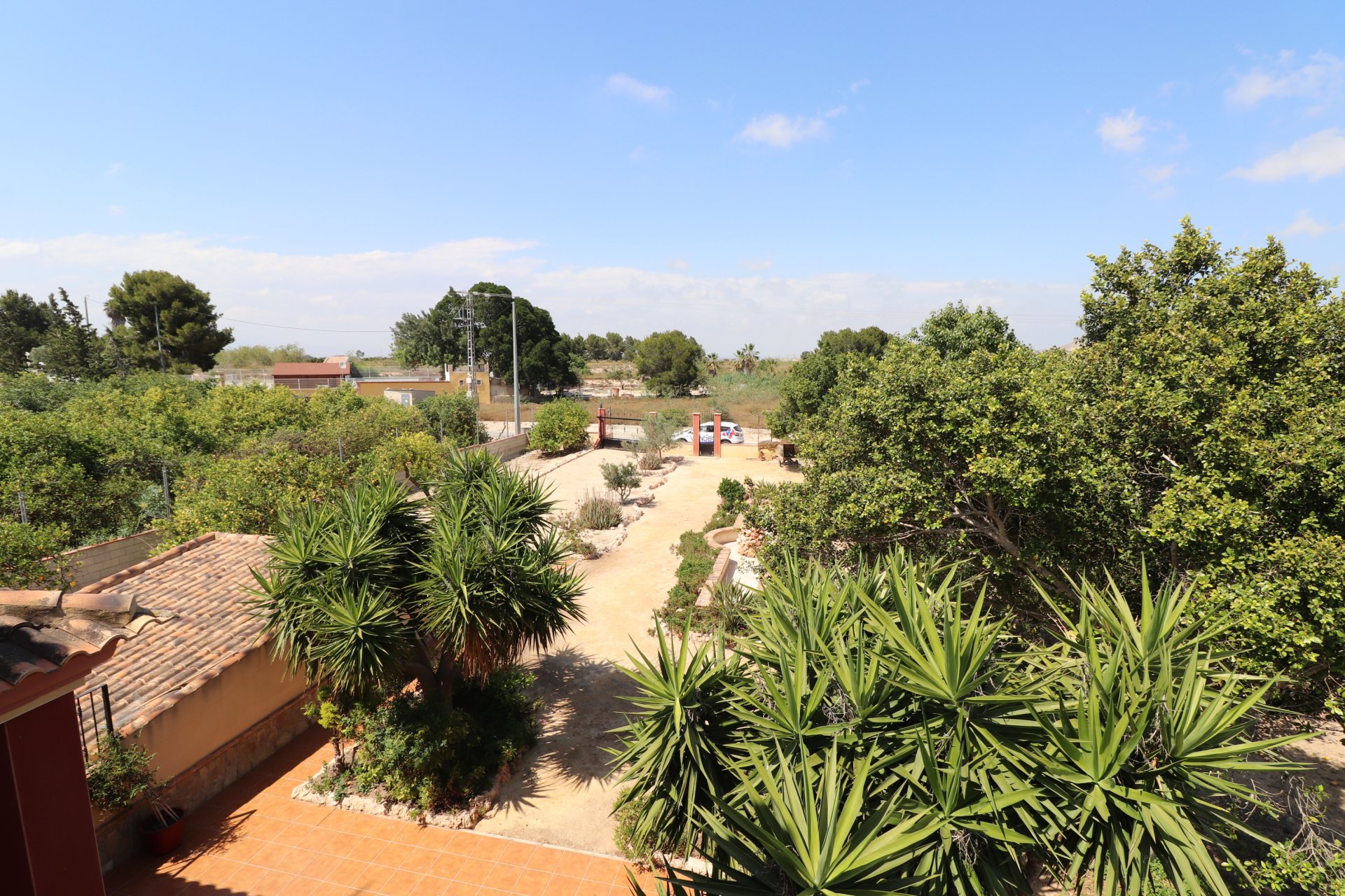 Rynek wtórny - Finca -
Algorfa - Algorfa - Country